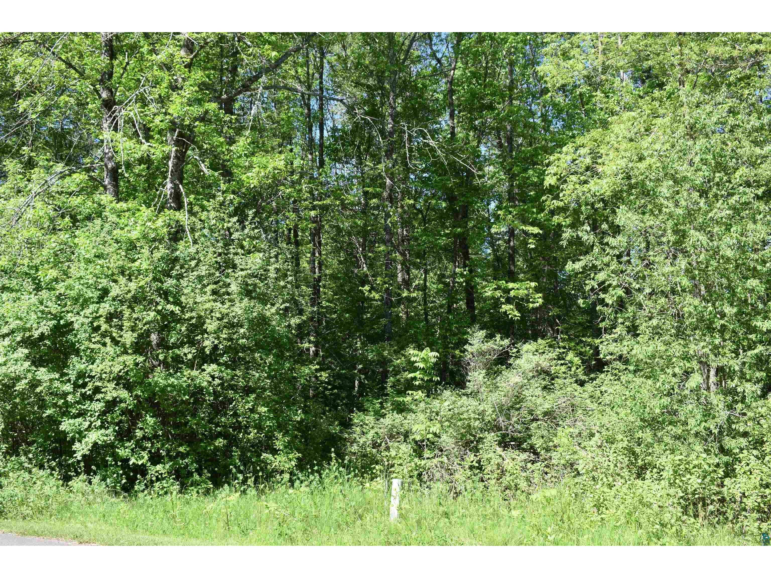 10XX W Bigelow St Washburn WI 54891 6119788 image13