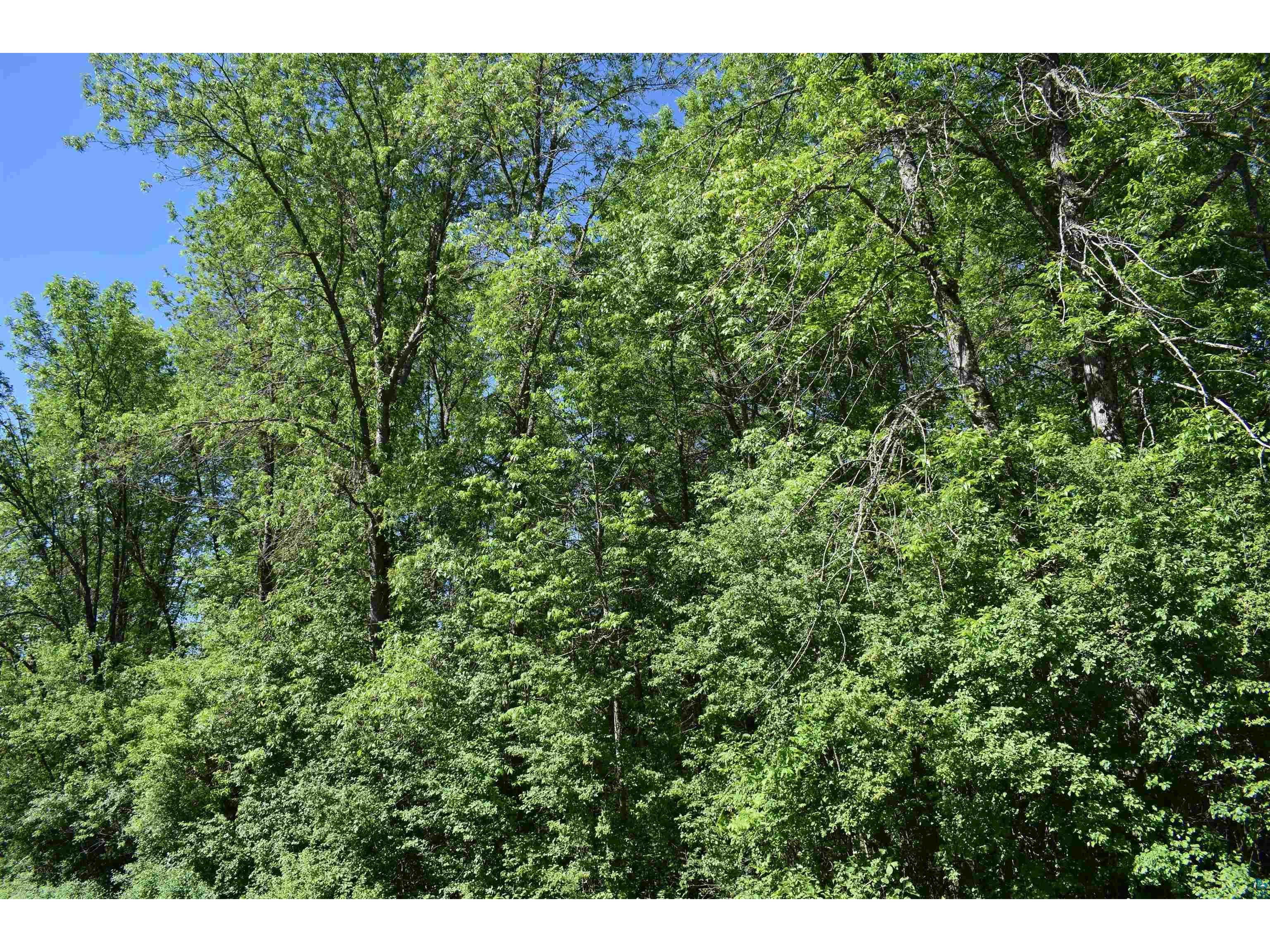 10XX W Bigelow St Washburn WI 54891 6119788 image3