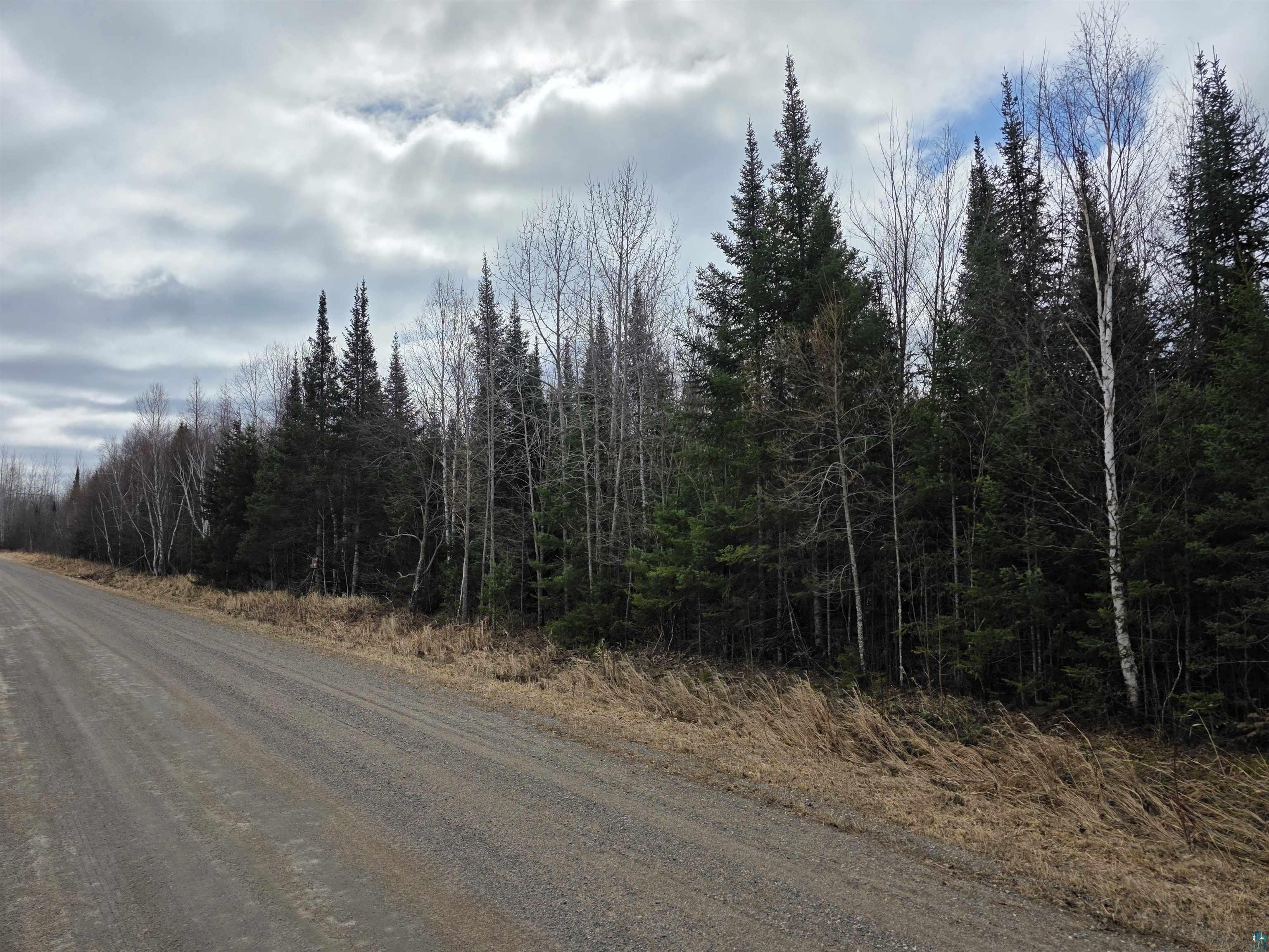 10XXX Oja Rd Hibbing MN 55746 6124702 image1