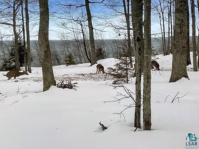 1117 South Shore Rd Lapointe WI 54850 - Lake Superior 6123927 image64