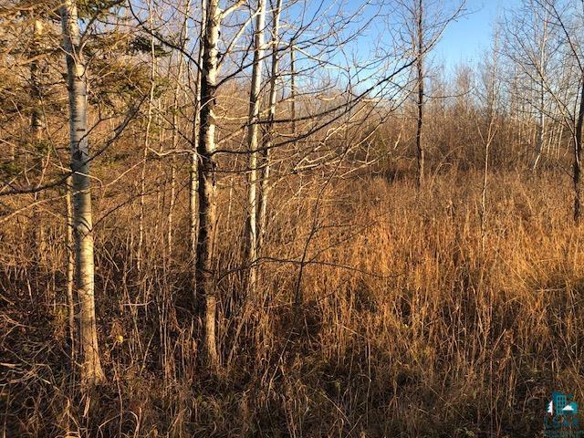 11410 S Hendrickson Rd Maple WI 54854 6117015 image1