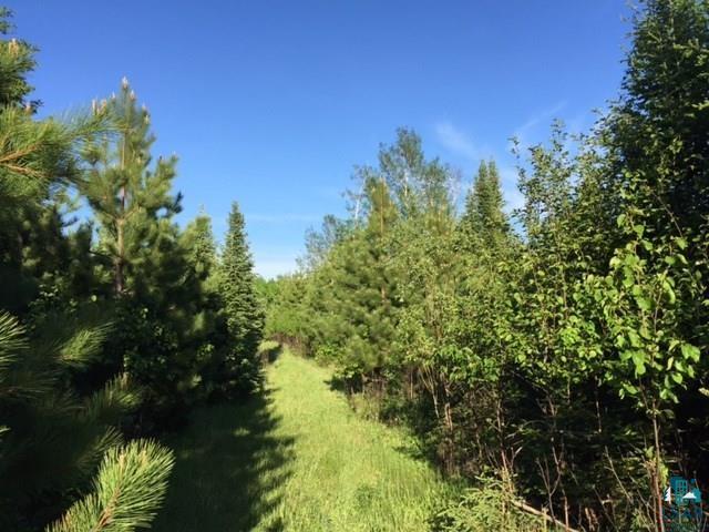 1142 Camp 20 Rd Hovland MN 55606 6125915 image1