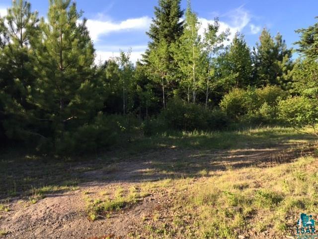 1142 Camp 20 Rd Hovland MN 55606 6125915 image11
