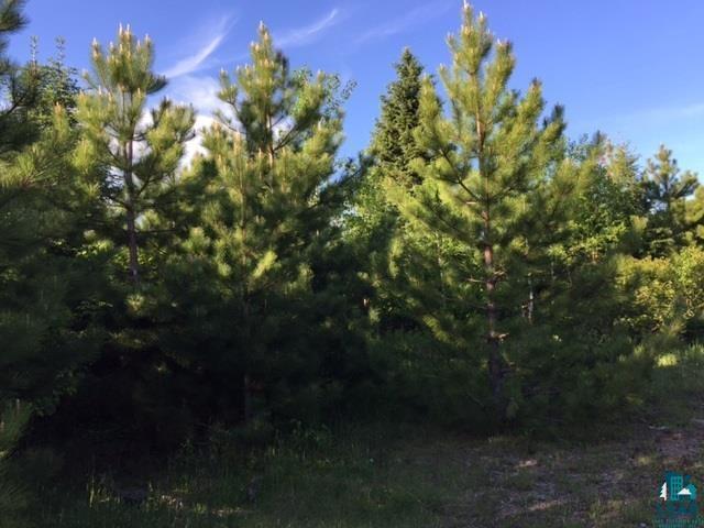1142 Camp 20 Rd Hovland MN 55606 6125915 image15