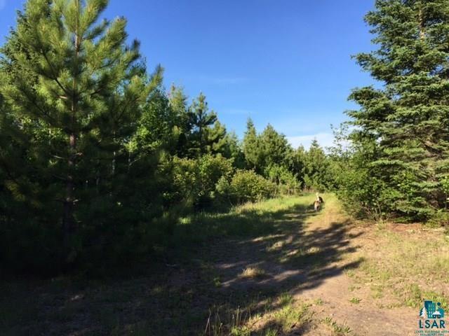 1142 Camp 20 Rd Hovland MN 55606 6125915 image16