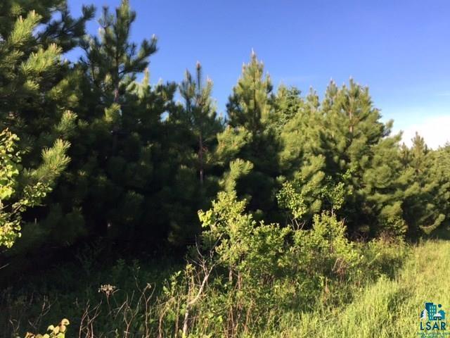 1142 Camp 20 Rd Hovland MN 55606 6125915 image17
