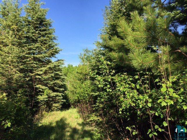 1142 Camp 20 Rd Hovland MN 55606 6125915 image3