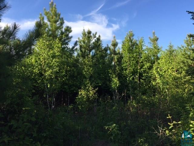 1142 Camp 20 Rd Hovland MN 55606 6125915 image4