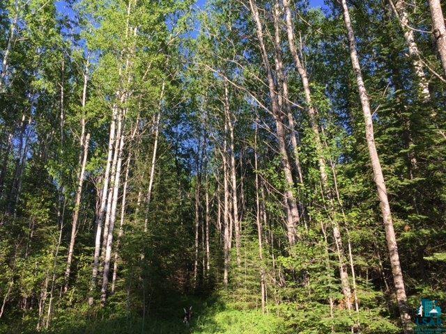 1142 Camp 20 Rd Hovland MN 55606 6125915 image5