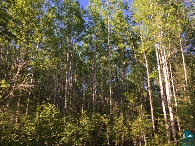 1142 Camp 20 Rd Hovland MN 55606 6125915 image6