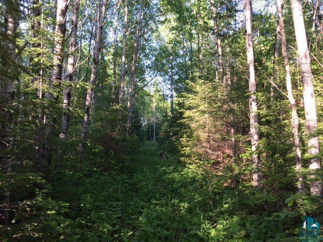 1142 Camp 20 Rd Hovland MN 55606 6125915 image7