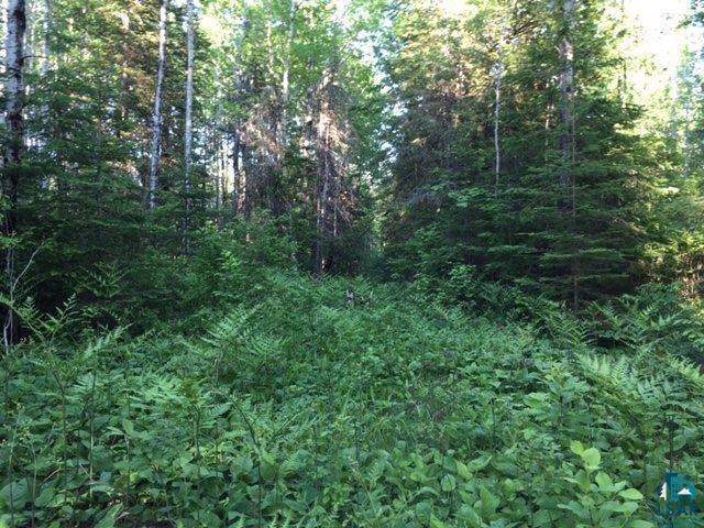 1142 Camp 20 Rd Hovland MN 55606 6125915 image8