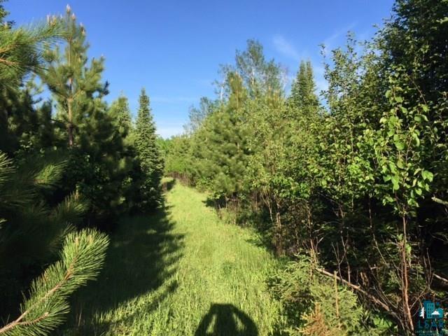 1142 Camp 20 Rd Hovland MN 55606 6125915 image9