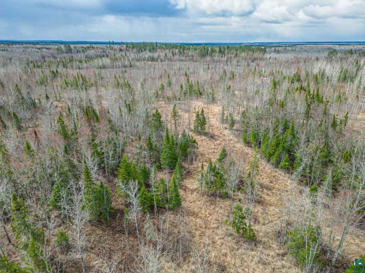 11448 Hwy 22 Angora MN 55703 6125567 image30