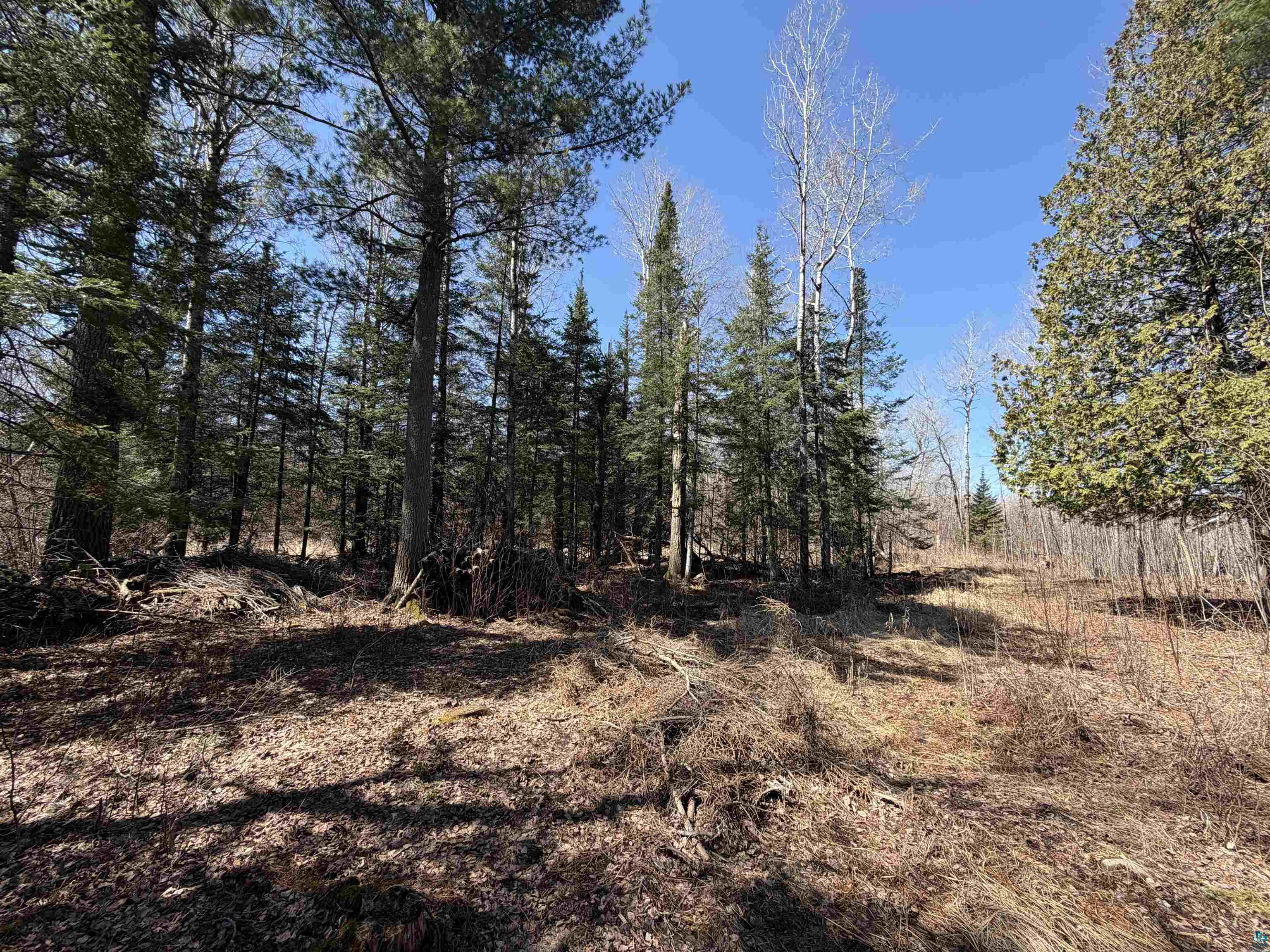 115 Marks Rd Esko MN 55733 6124747 image1