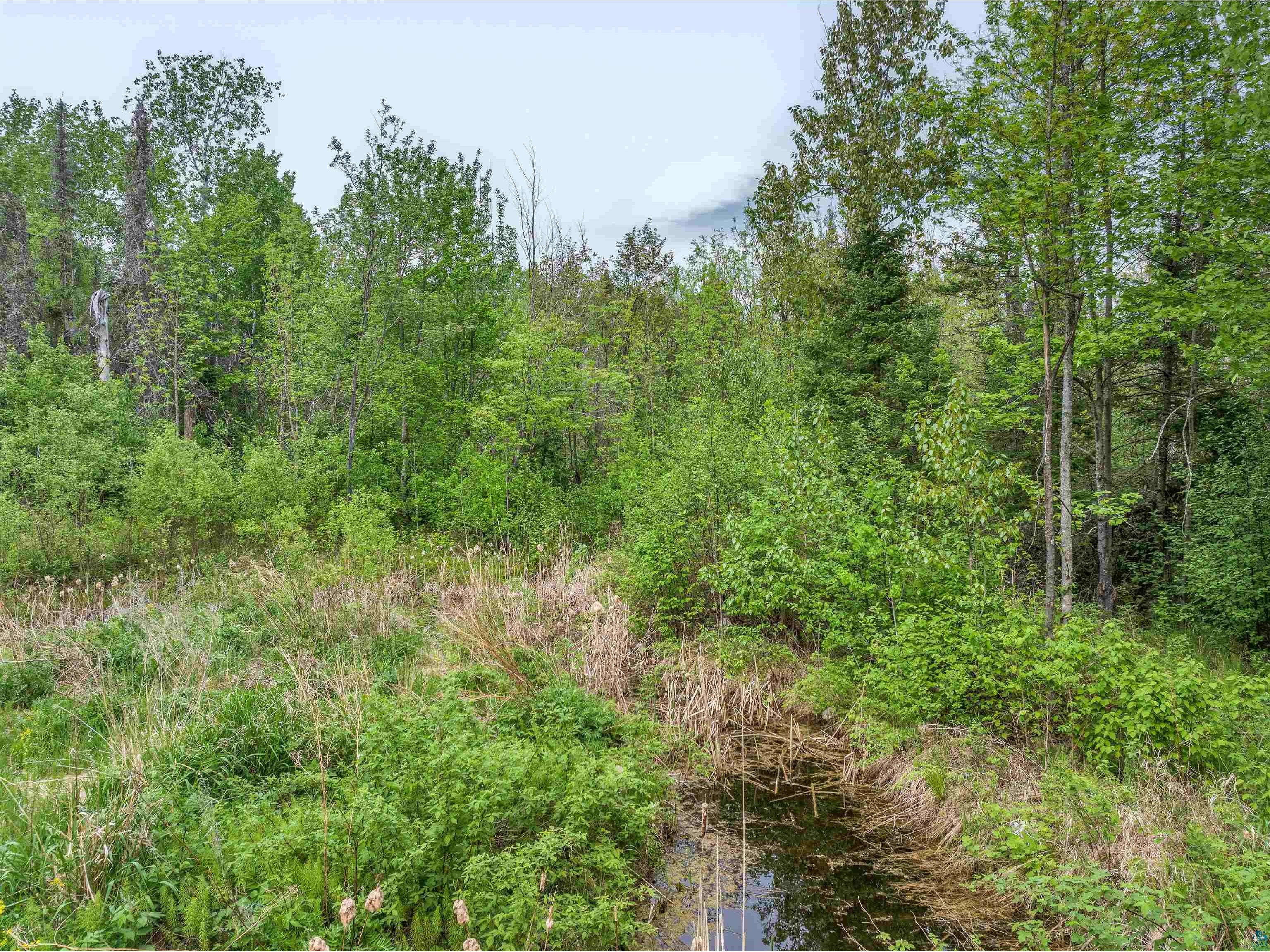 1152 Fernberg Rd Ely MN 55731 6125843 image16