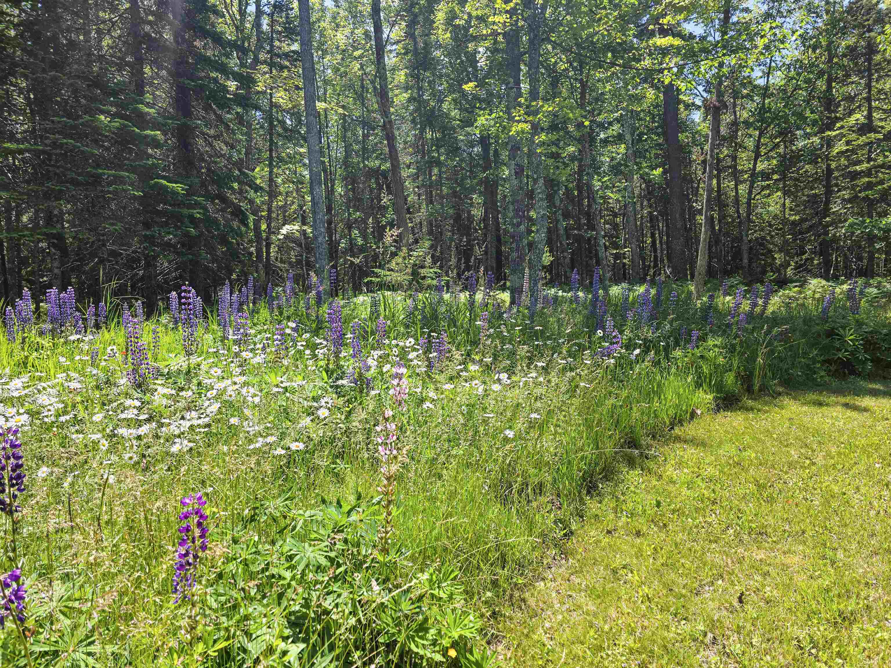 1161 Middle Rd Lapointe WI 54850 6120640 image35