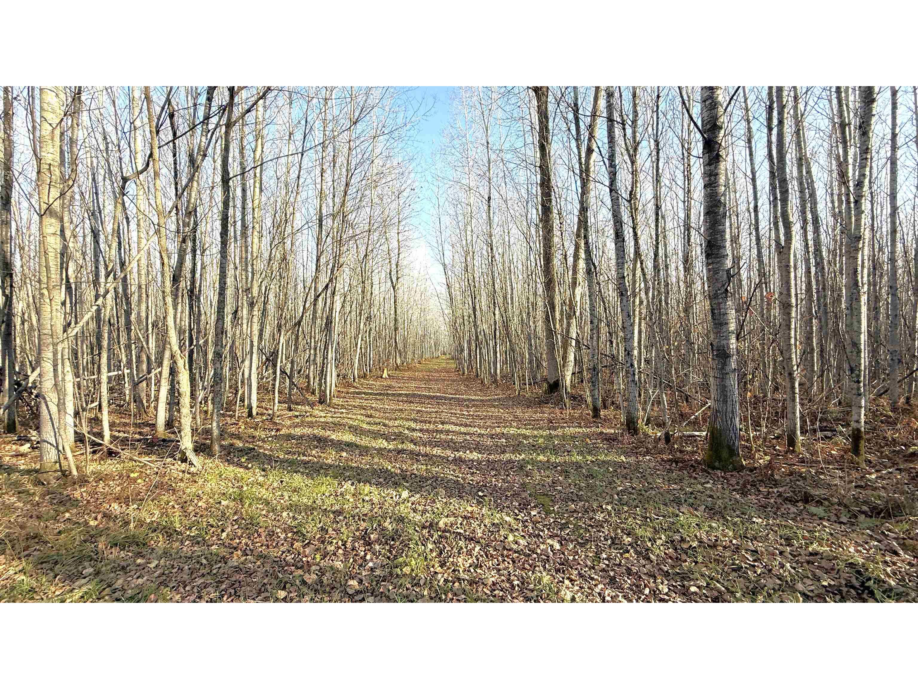 11680 County Rd 59 Gheen MN 55771 6122673 image10