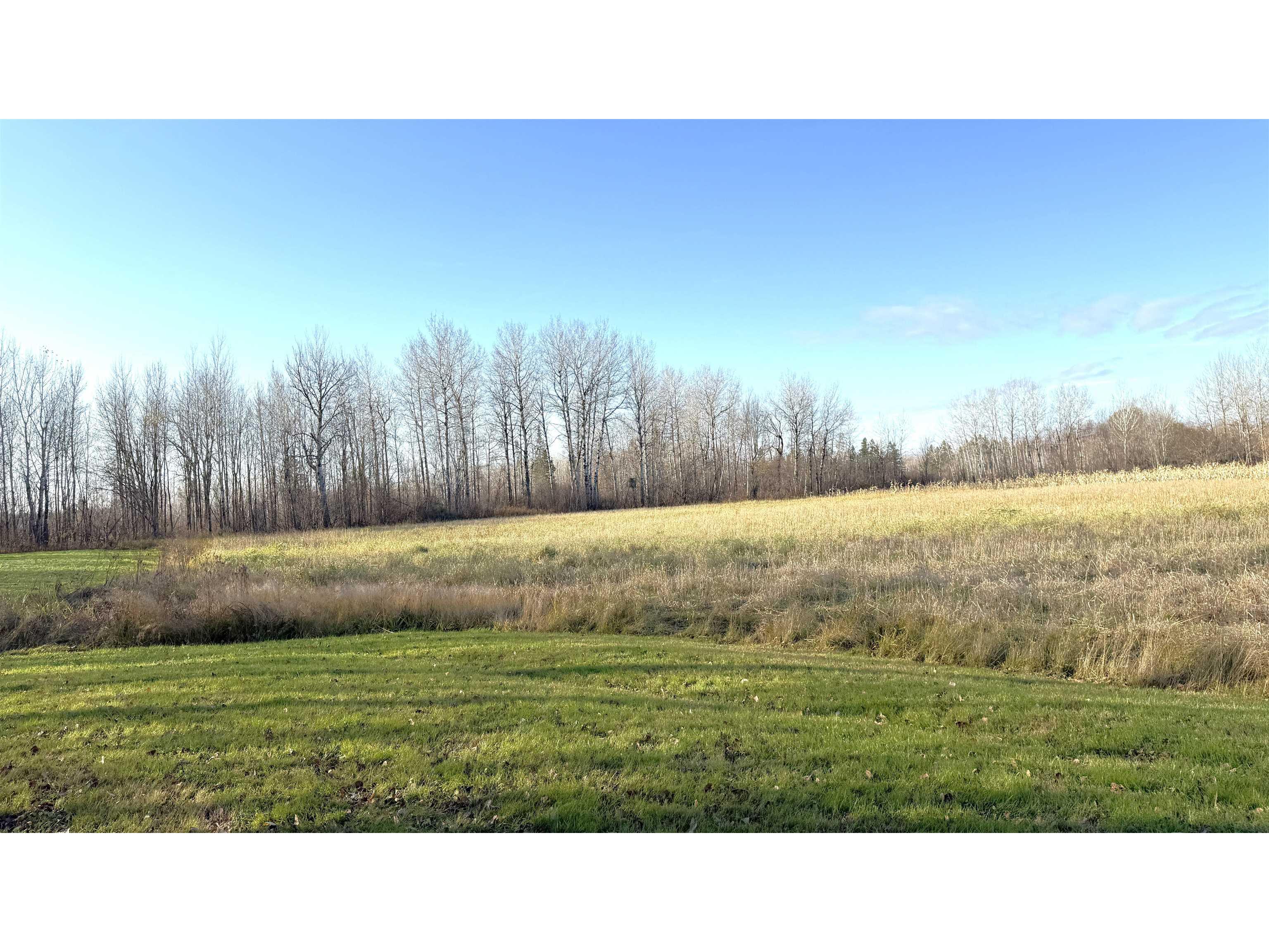 11680 County Rd 59 Gheen MN 55771 6122673 image11