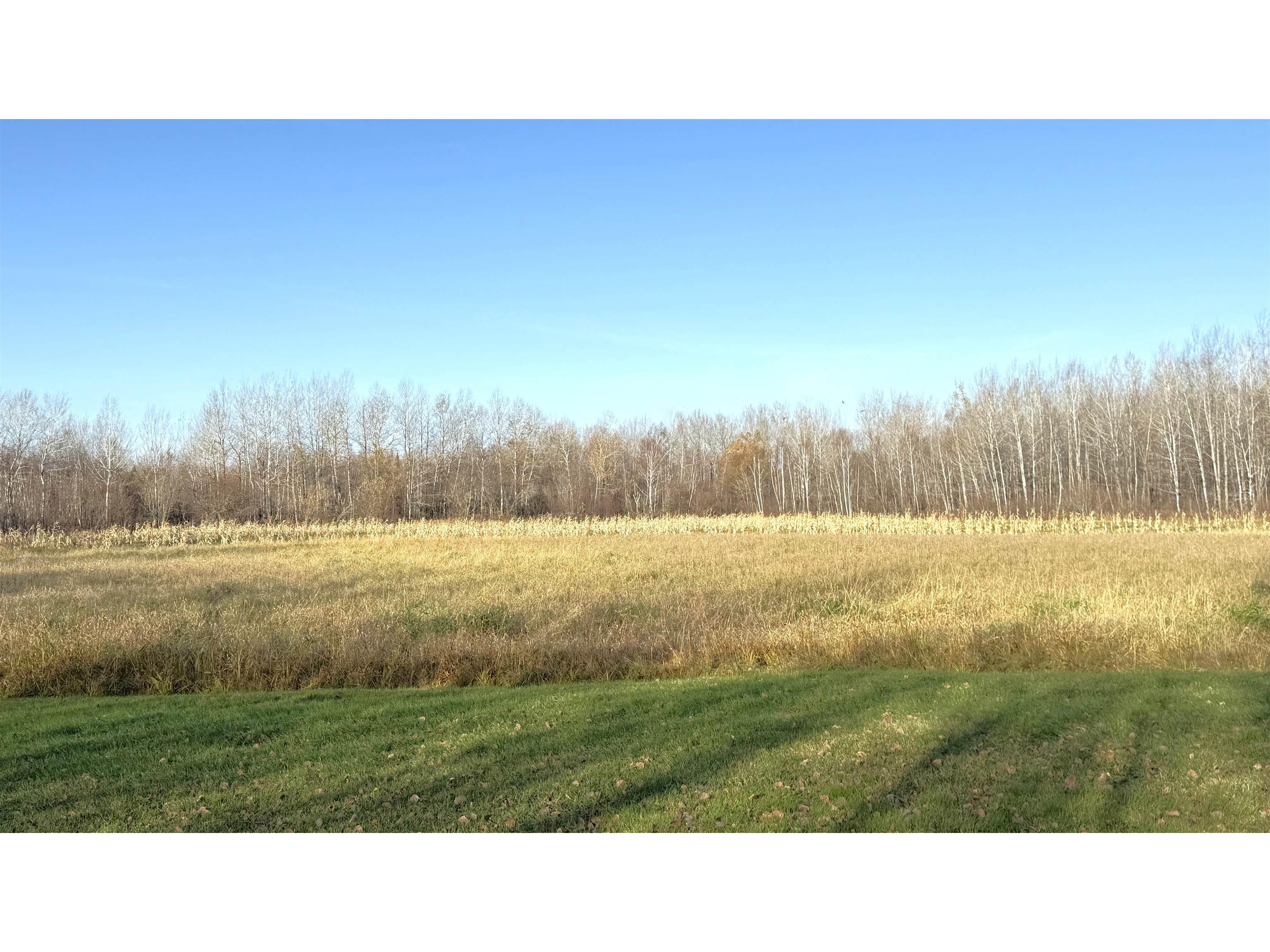 11680 County Rd 59 Gheen MN 55771 6122673 image14