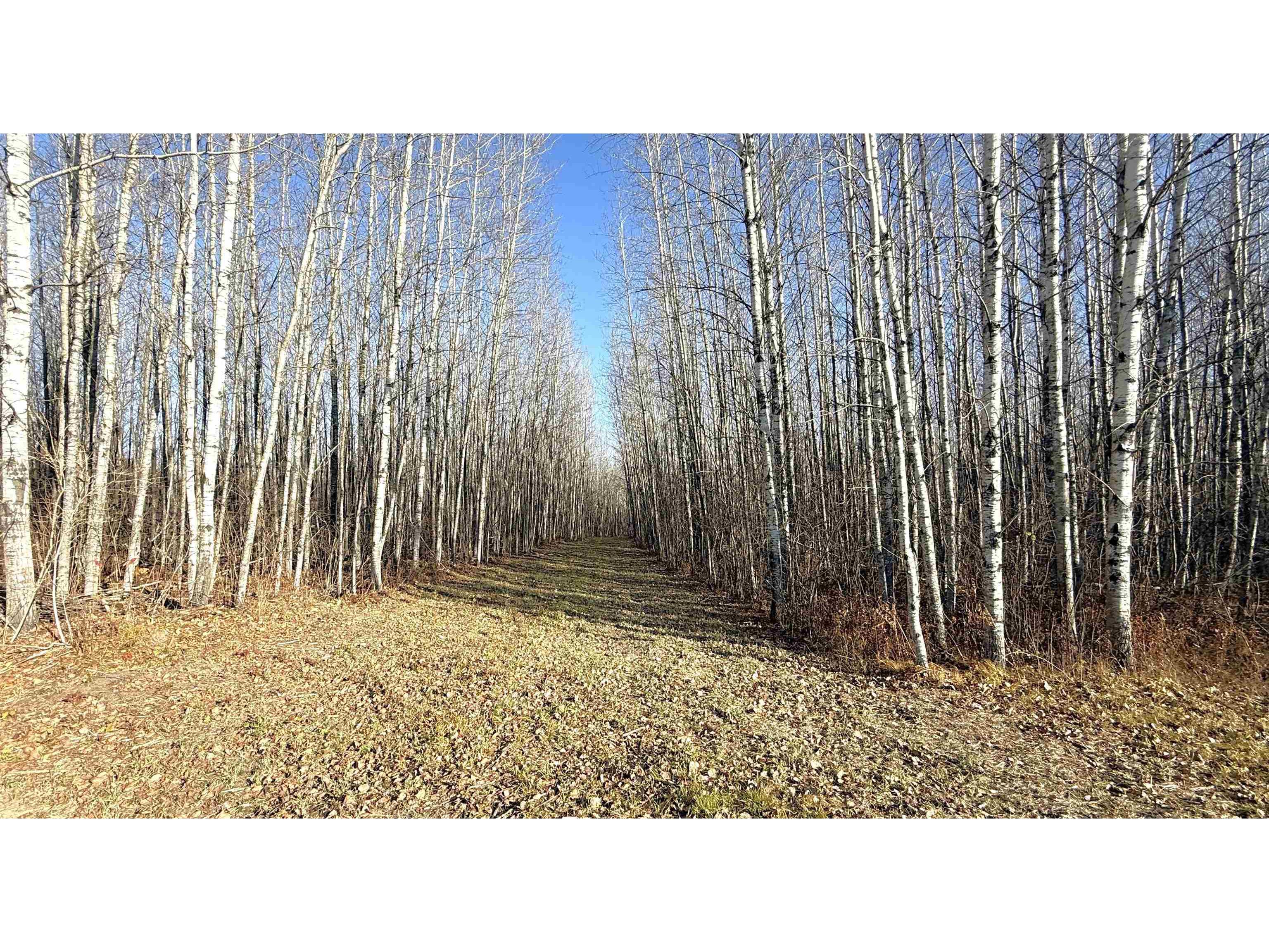 11680 County Rd 59 Gheen MN 55771 6122673 image15