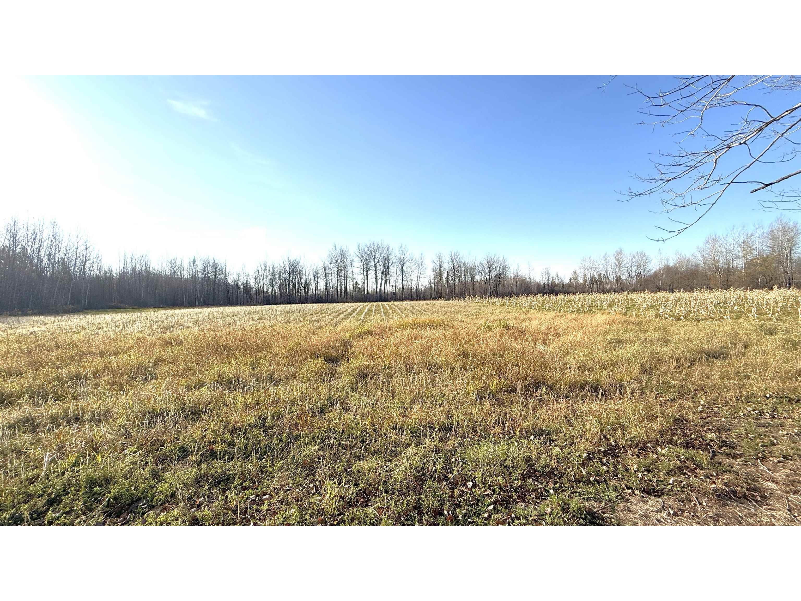 11680 County Rd 59 Gheen MN 55771 6122673 image16