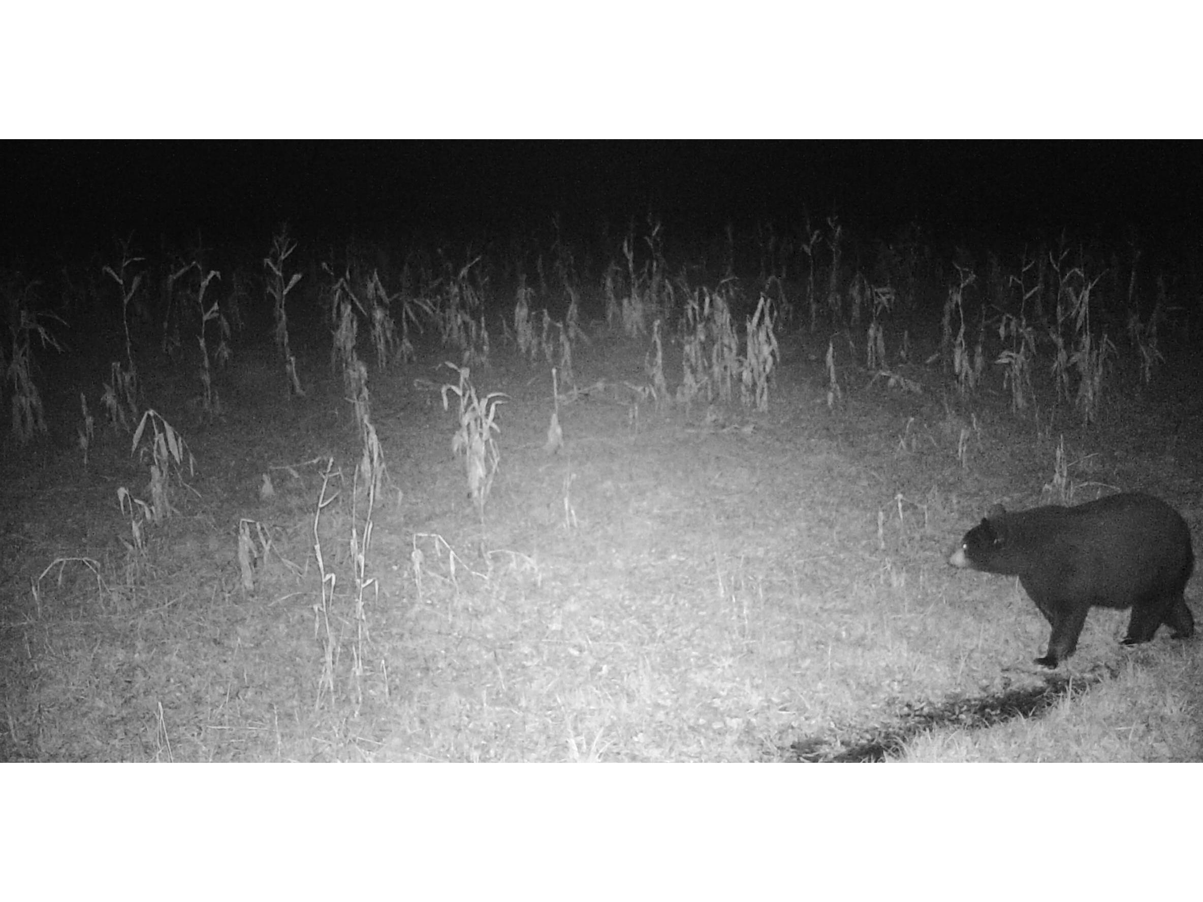 11680 County Rd 59 Gheen MN 55771 6122673 image19