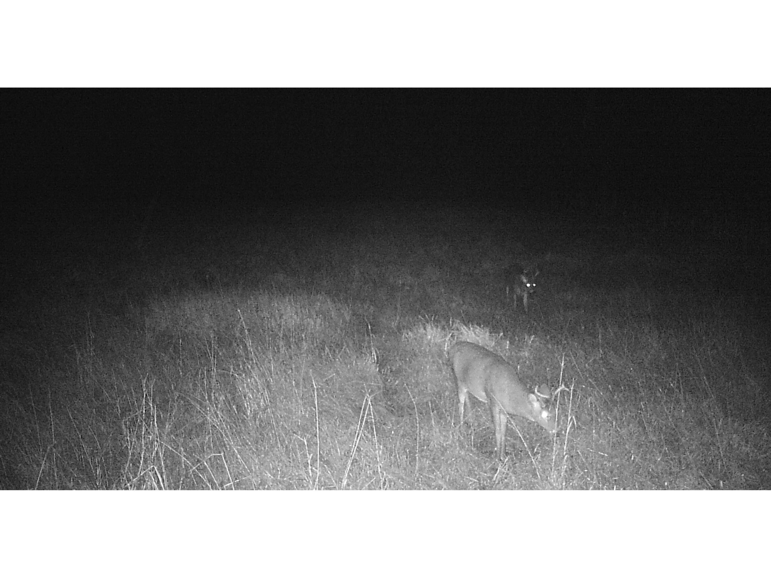 11680 County Rd 59 Gheen MN 55771 6122673 image21