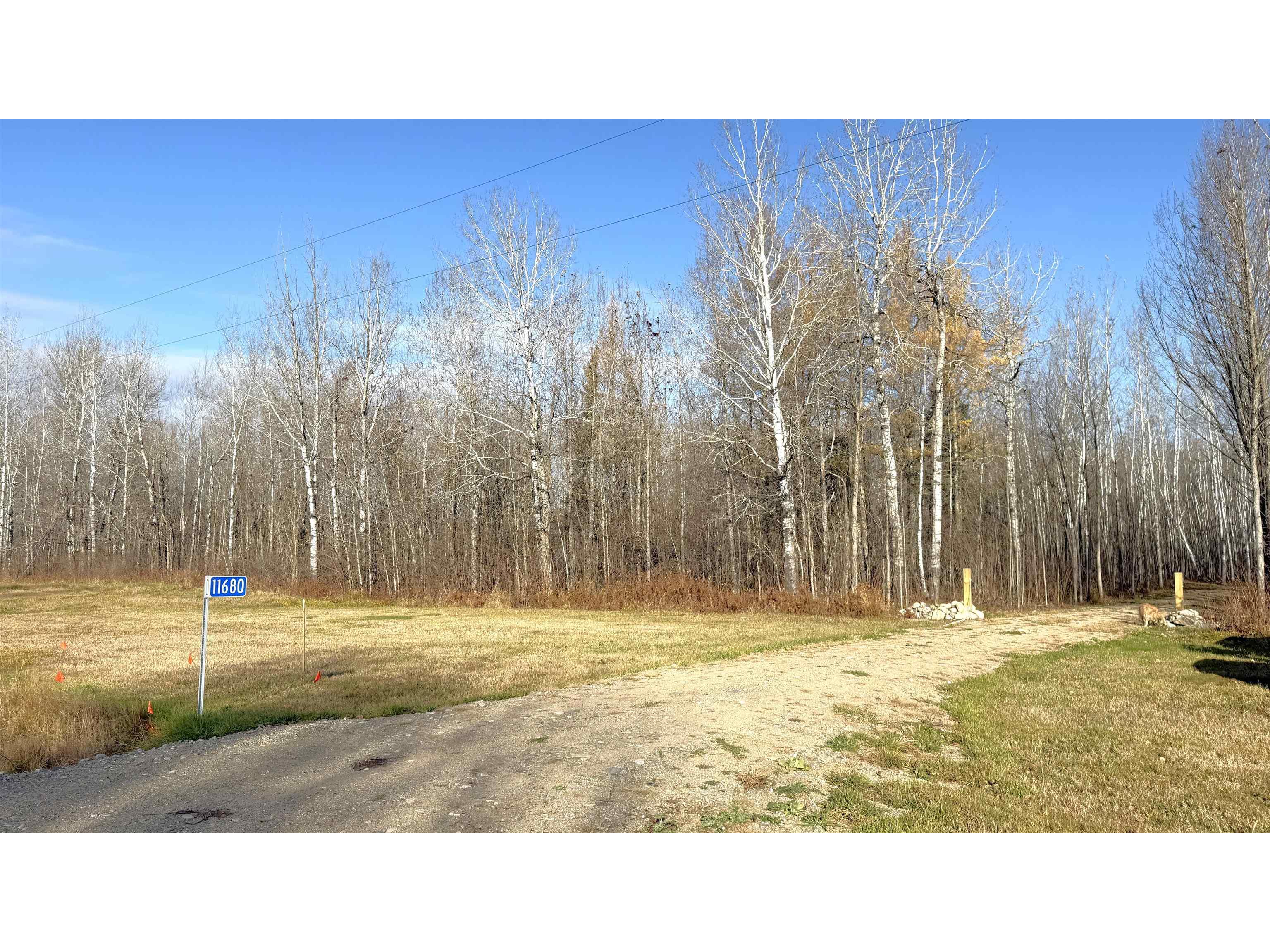 11680 County Rd 59 Gheen MN 55771 6122673 image3