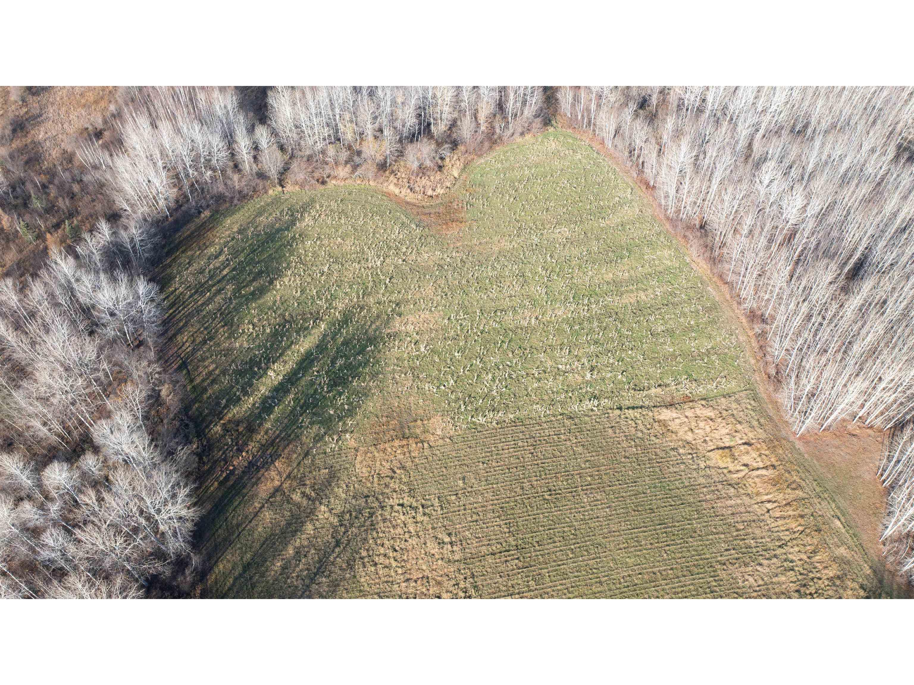 11680 County Rd 59 Gheen MN 55771 6122673 image4