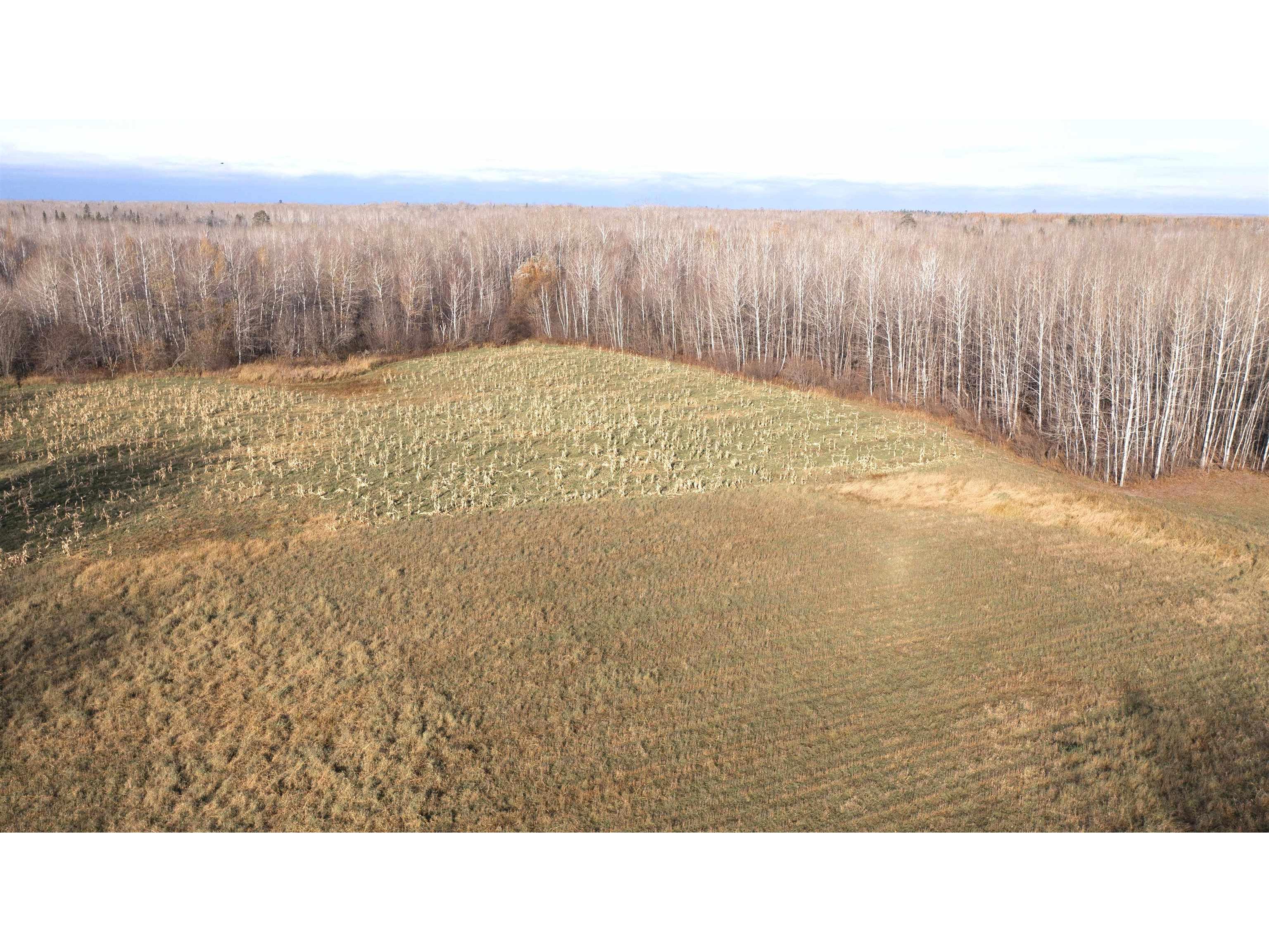 11680 County Rd 59 Gheen MN 55771 6122673 image7