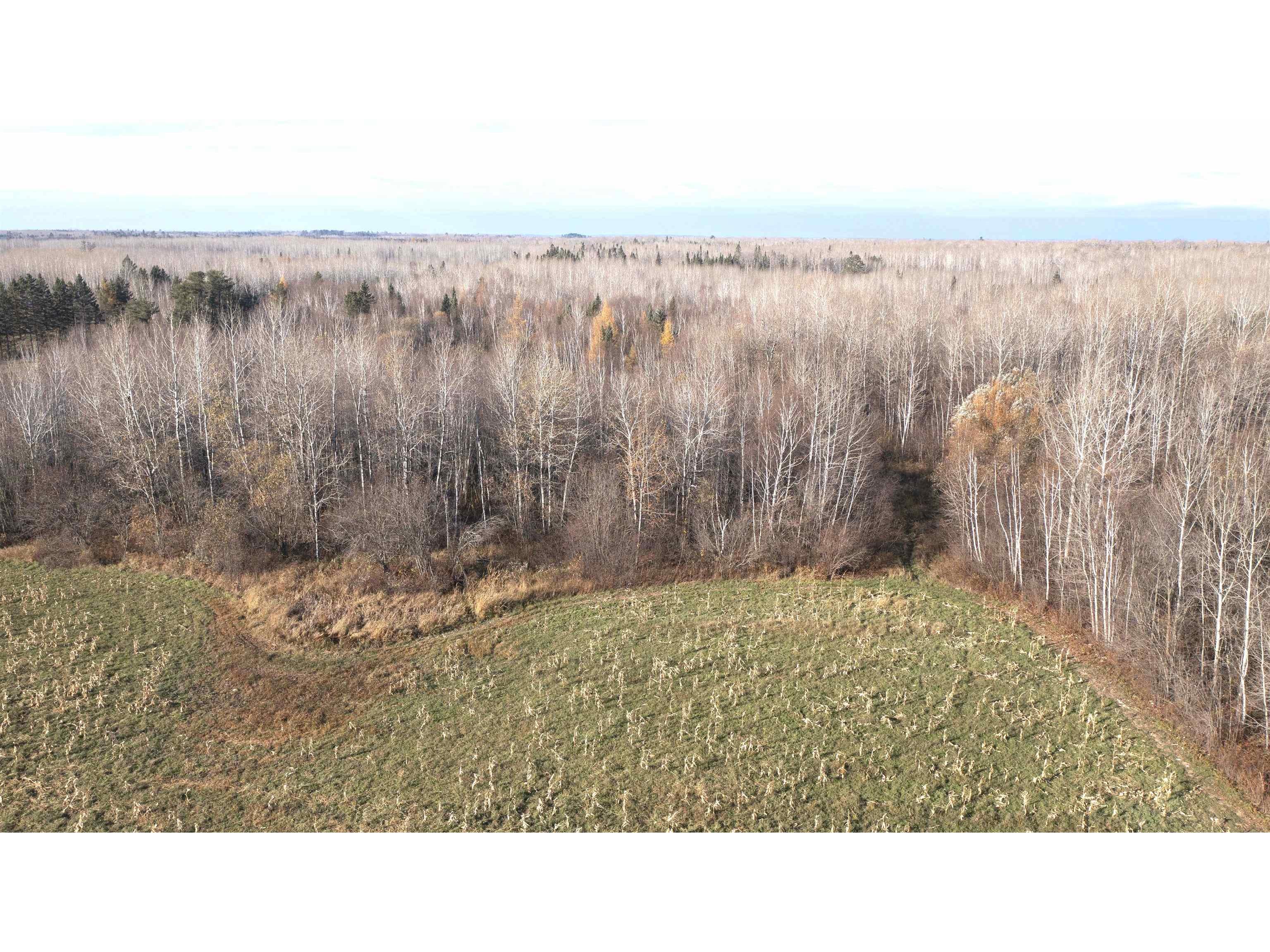 11680 County Rd 59 Gheen MN 55771 6122673 image8