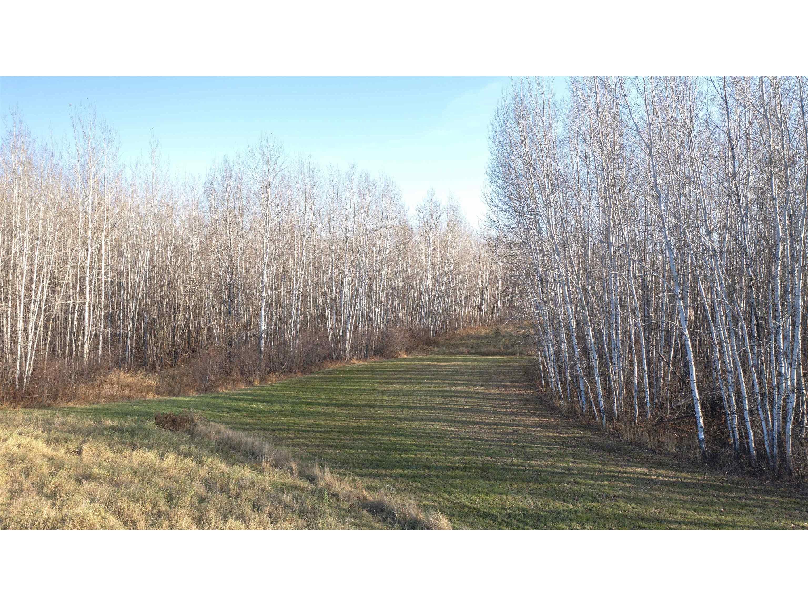 11680 County Rd 59 Gheen MN 55771 6122673 image9