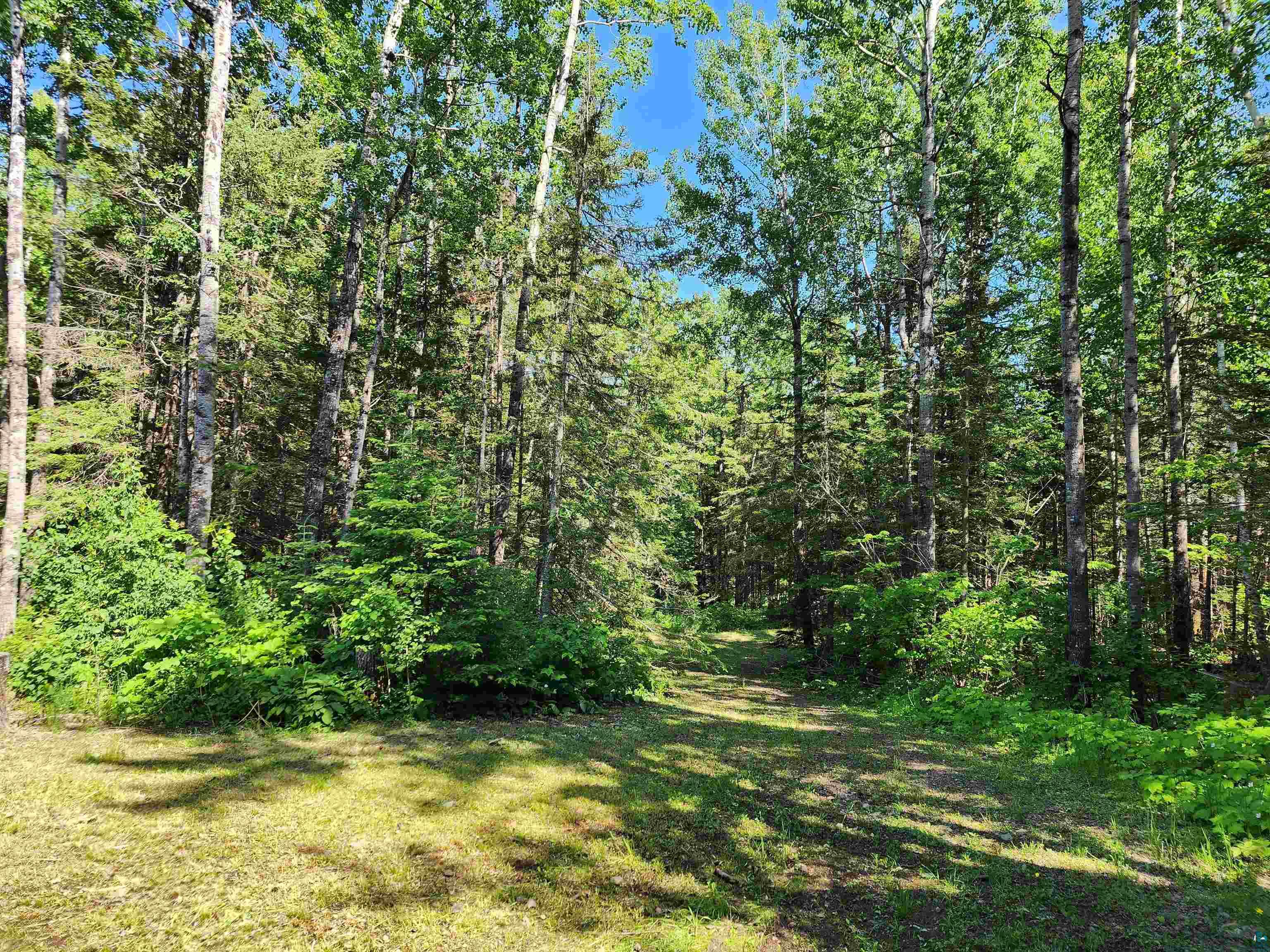 117 Tower Rd Hovland MN 55606 6126016 image36