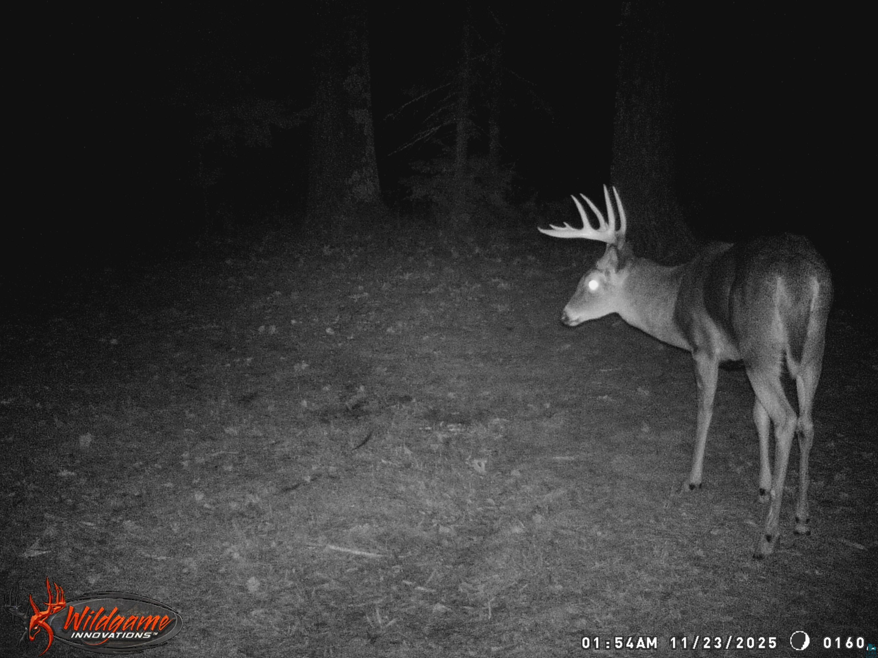 1170 County Hwy B Brule WI 54820 - Fish Creek 6119350 image43