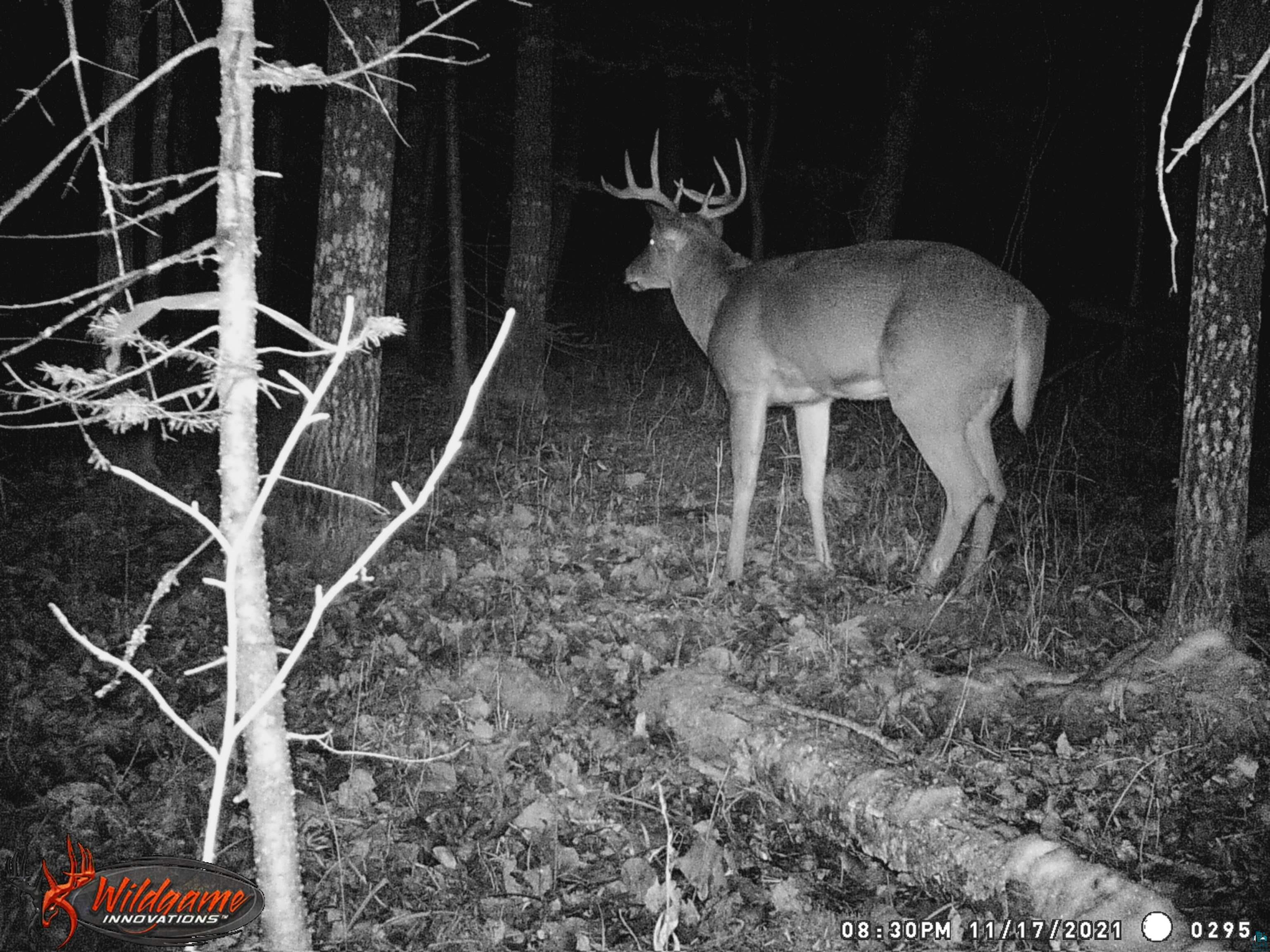 1170 County Hwy B Brule WI 54820 - Fish Creek 6119350 image44