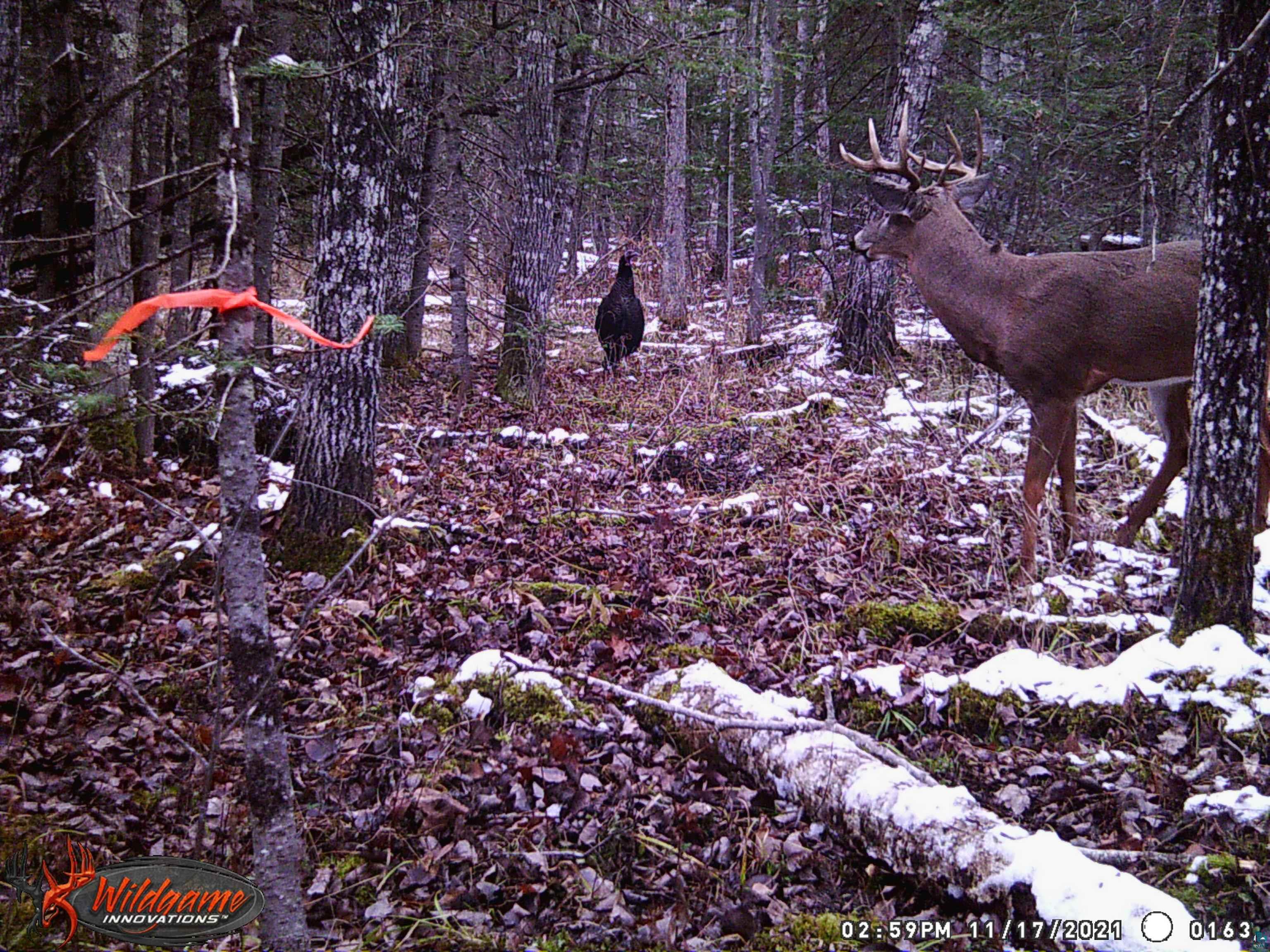 1170 County Hwy B Brule WI 54820 - Fish Creek 6119350 image45
