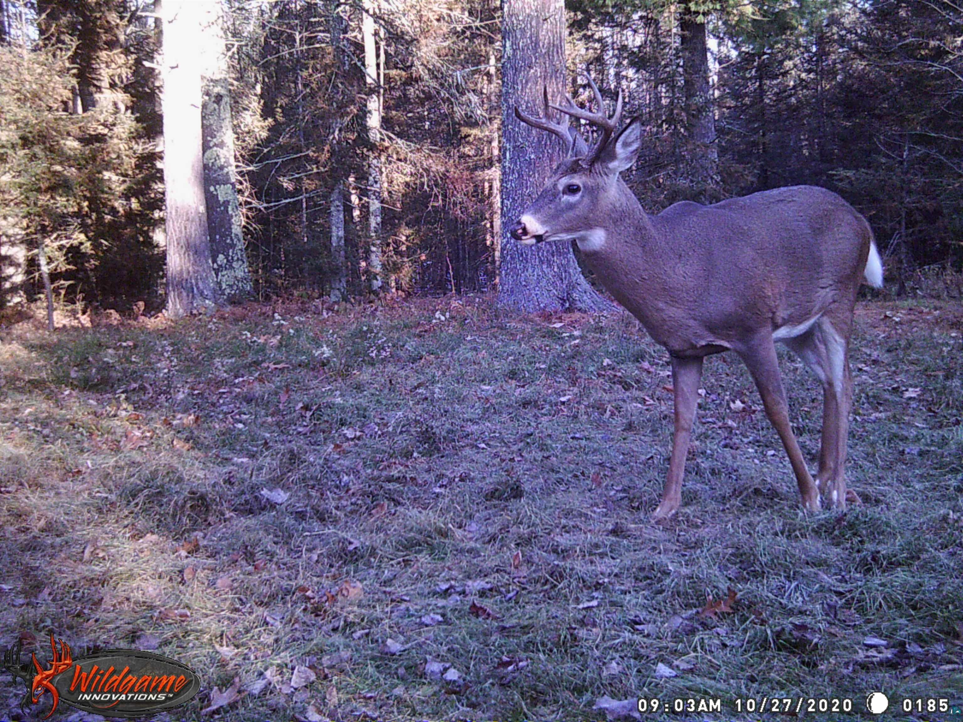 1170 County Hwy B Brule WI 54820 - Fish Creek 6119350 image46