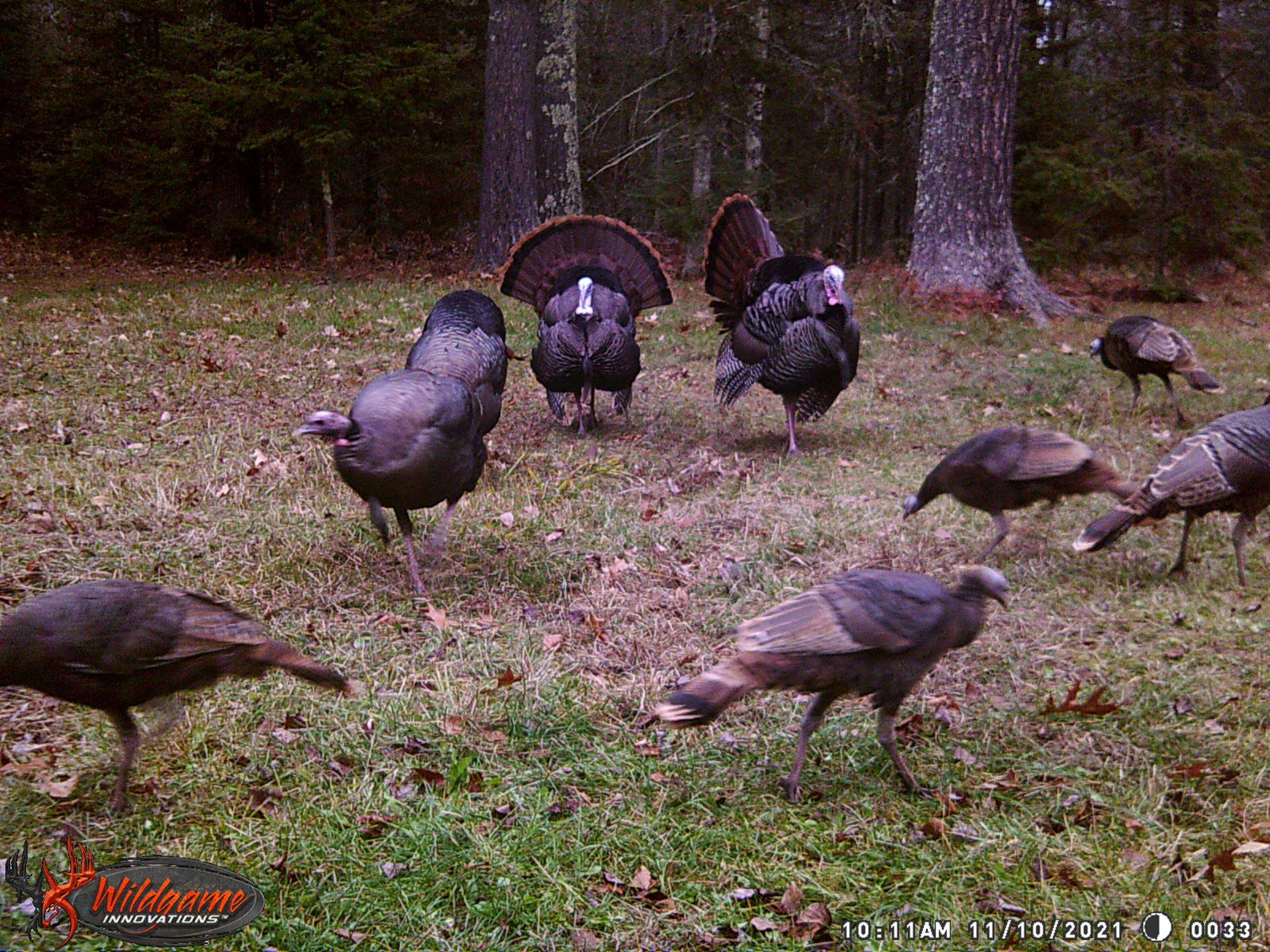 1170 County Hwy B Brule WI 54820 - Fish Creek 6119350 image43