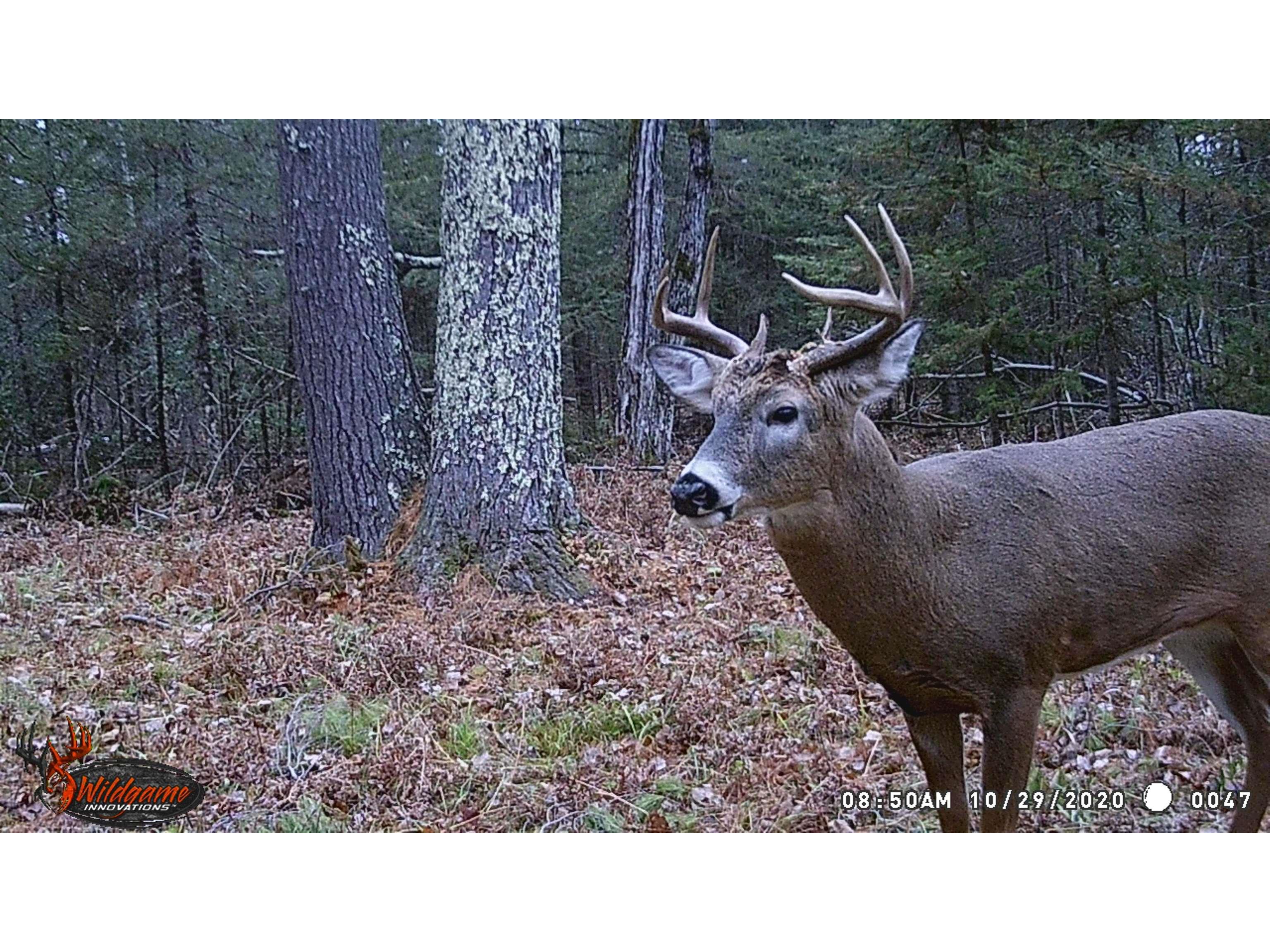 1170 County Hwy B Brule WI 54820 - Fish Creek 6119350 image45