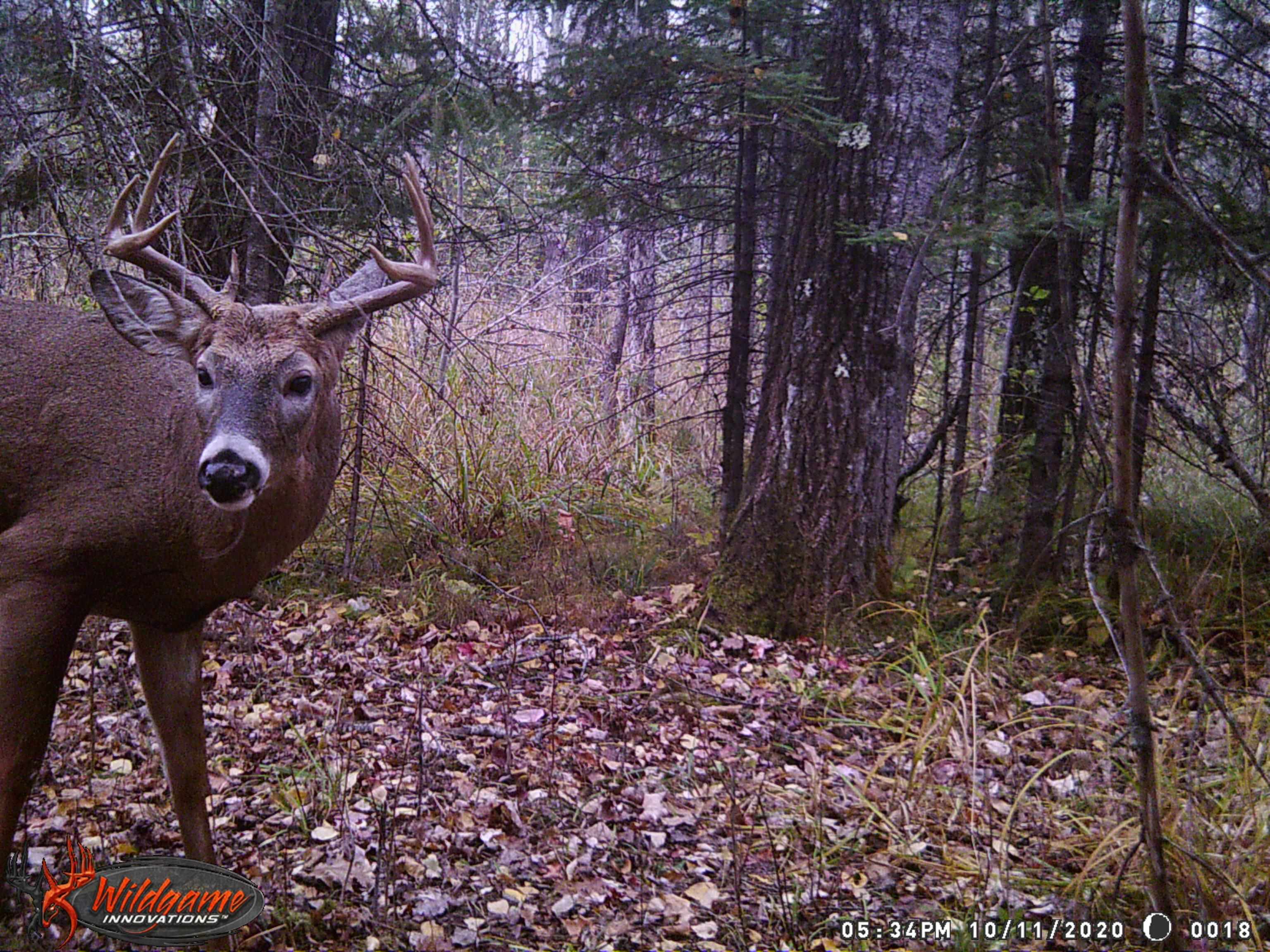 1170 County Hwy B Brule WI 54820 - Fish Creek 6119350 image46