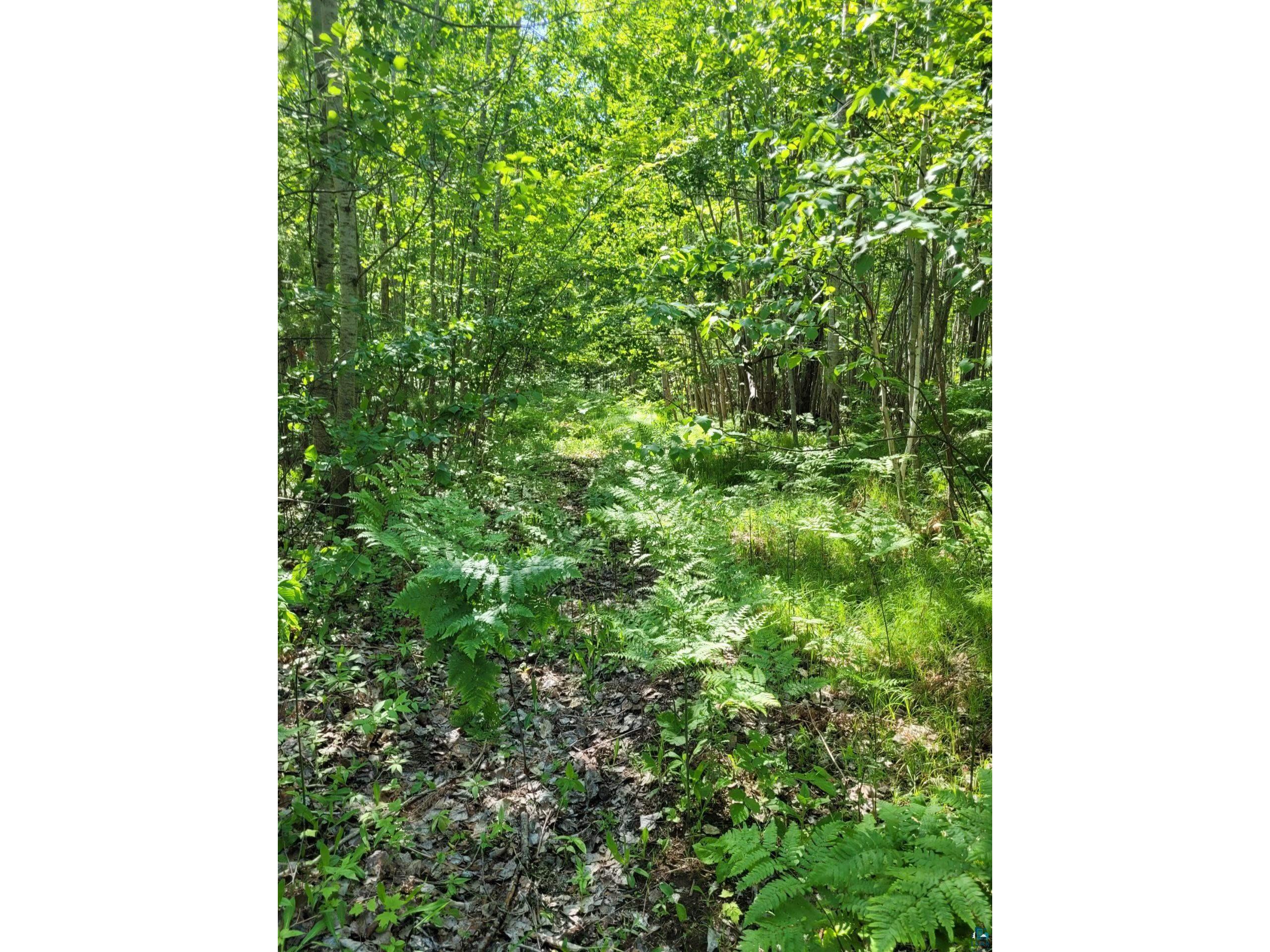 11715 Knoll Rd Lake Nebagamon WI 54879 - Robinson 6114400 image1