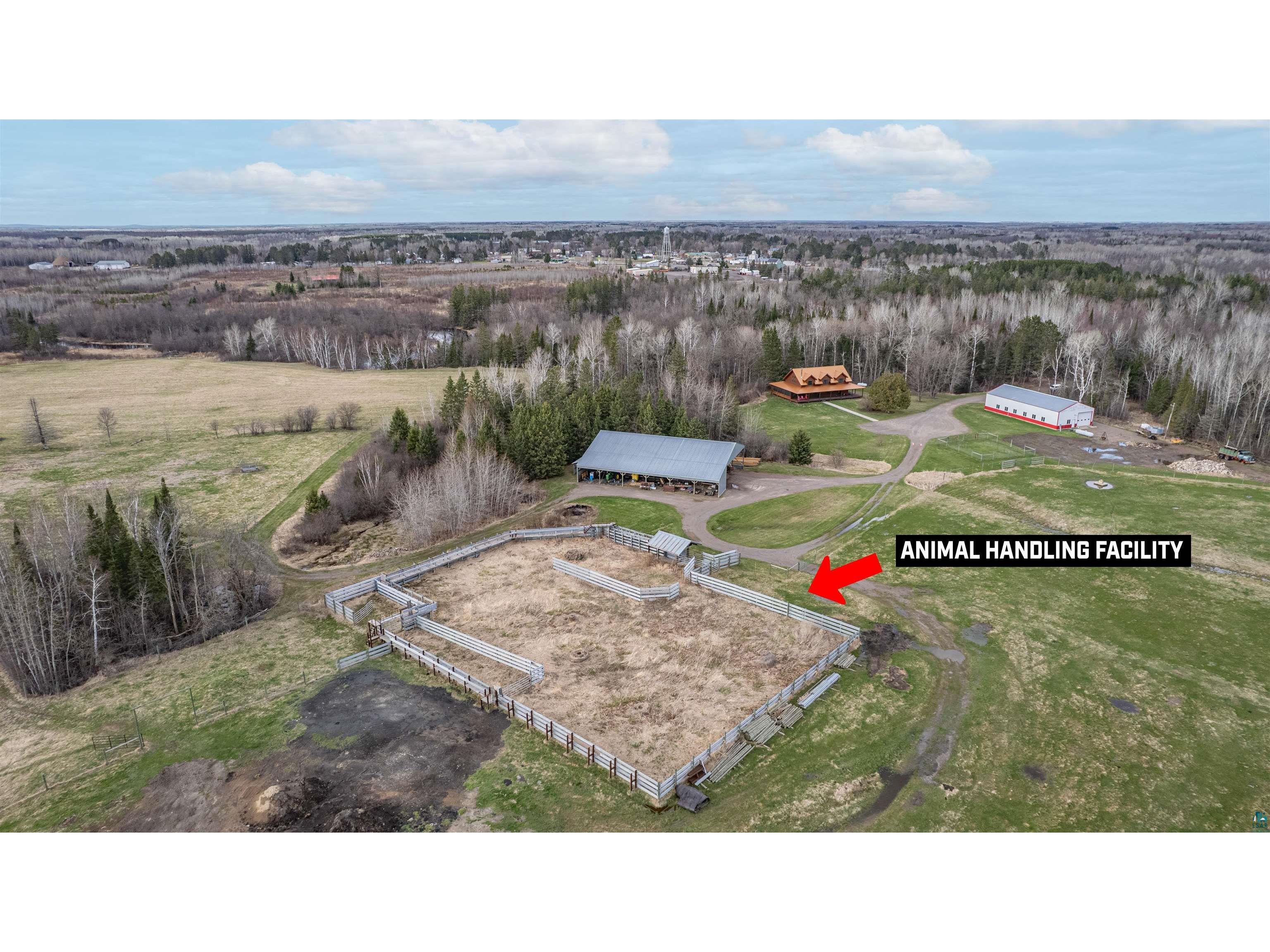 11769 Laurie Rd Floodwood MN 55736 - Savannah River 6125023 image3