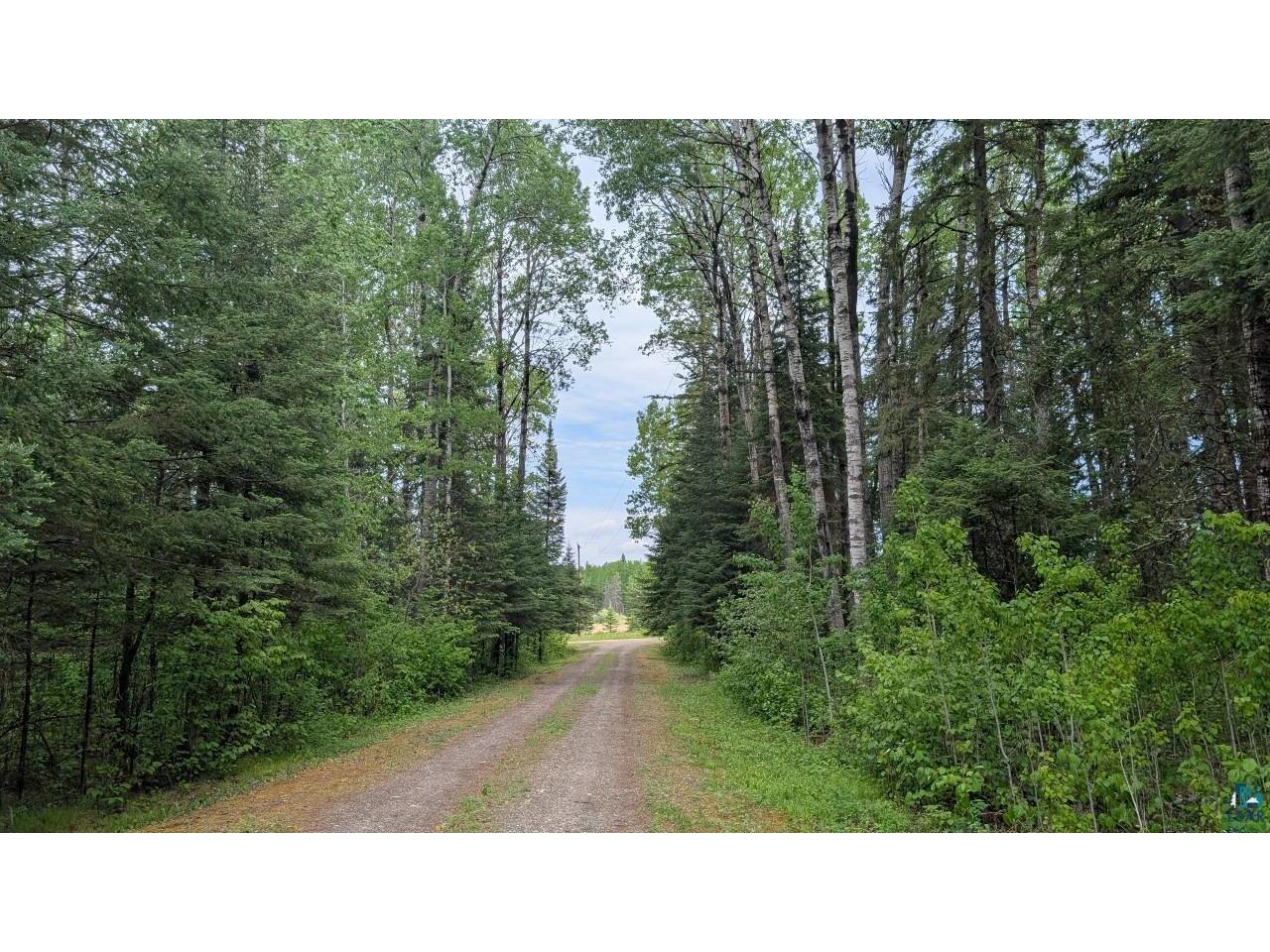 11770 Meadowbrook Rd Cook MN 55723 6126004 image21