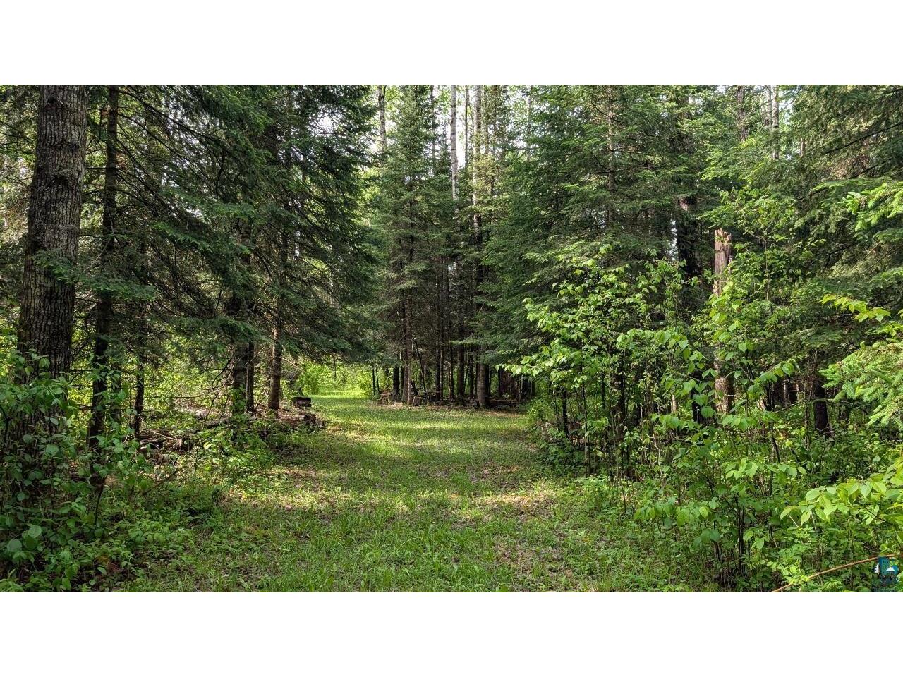 11770 Meadowbrook Rd Cook MN 55723 6126004 image28