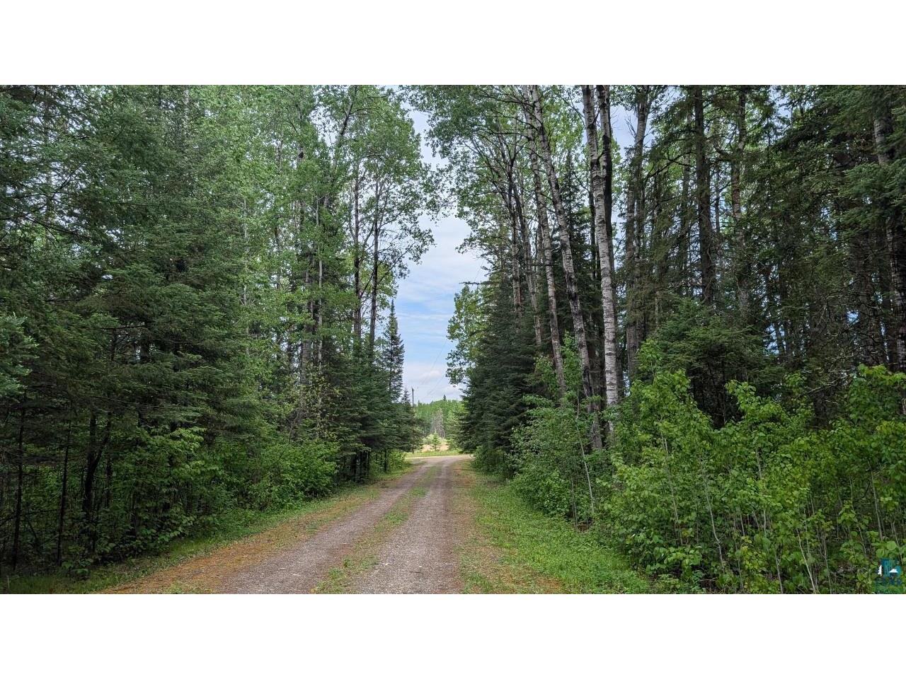 11770 Meadowbrook Rd Cook MN 55723 6126004 image29