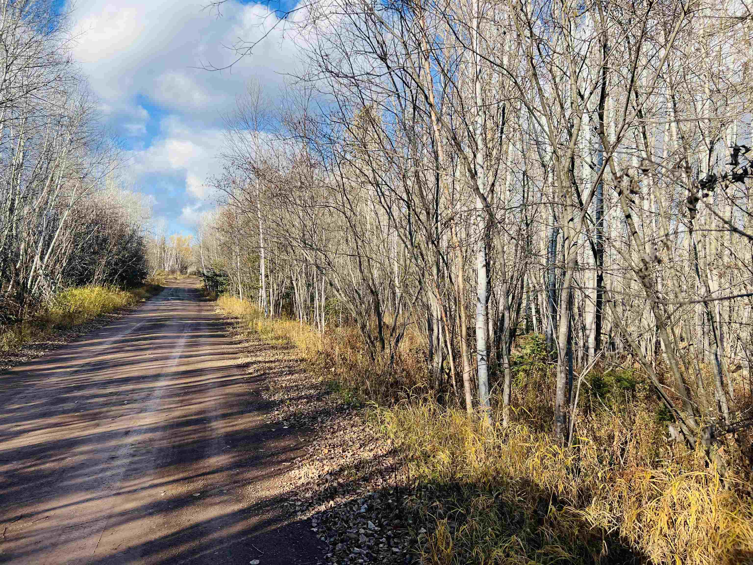 118 Rollins Ridge Tofte MN 55615 6122841 image17
