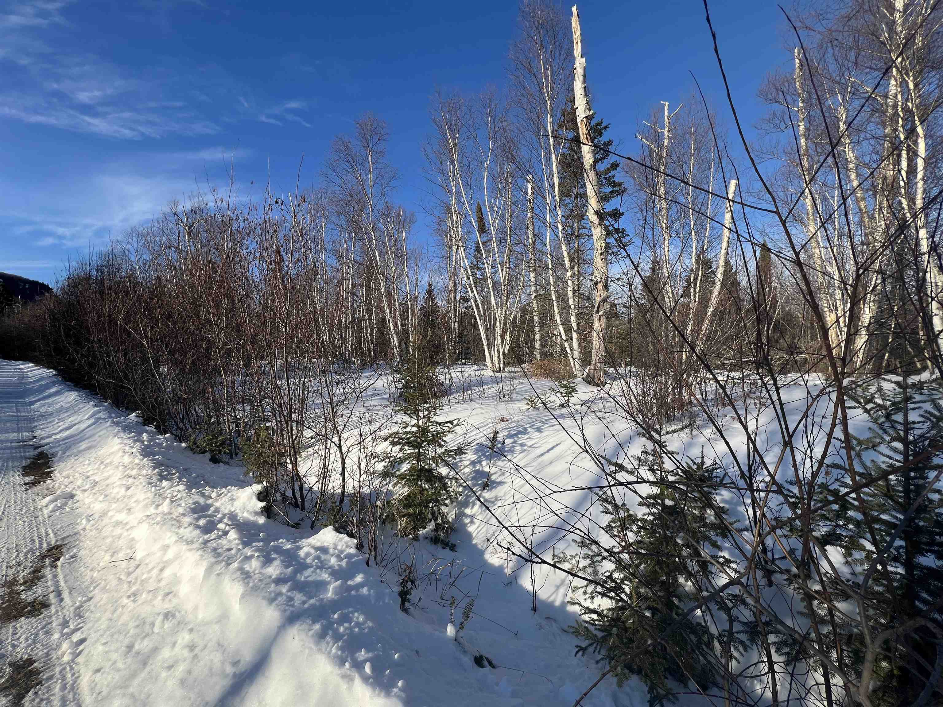 118 Rollins Ridge Tofte MN 55615 6122841 image3