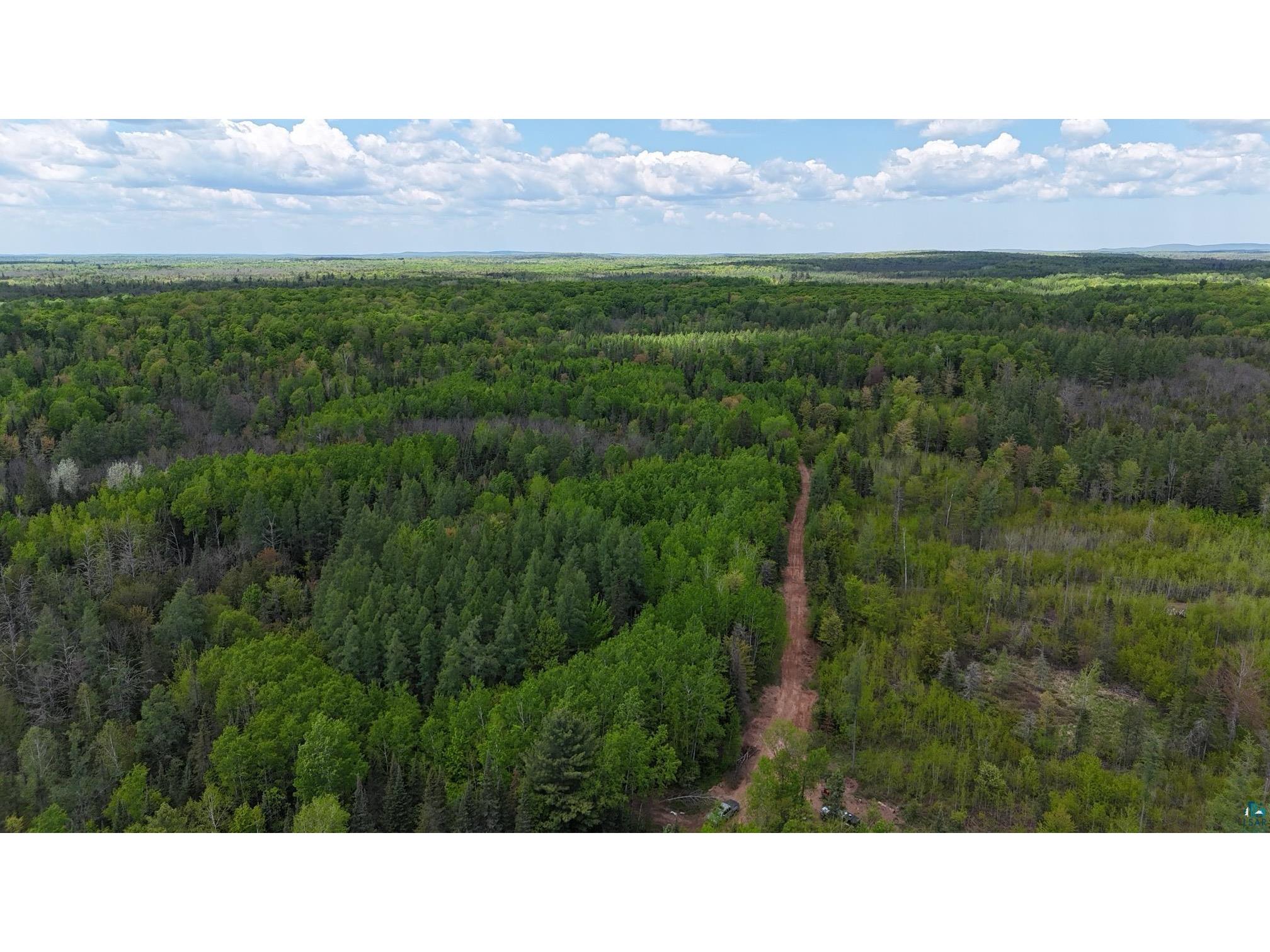 119 Acres Near Mertig Rd Shanagolden WI 54806 6119812 image3