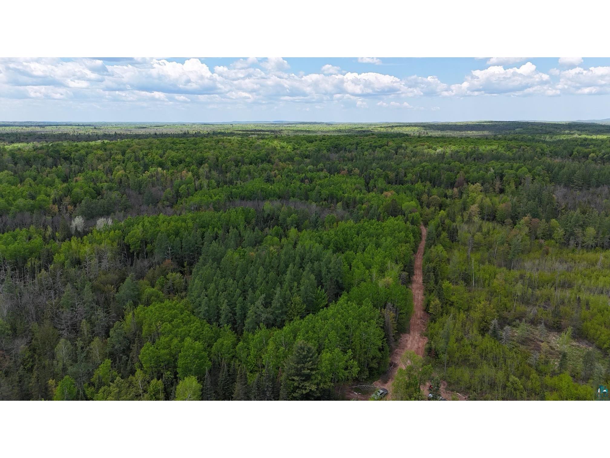 119 Acres Near Mertig Rd Shanagolden WI 54806 6119812 image4